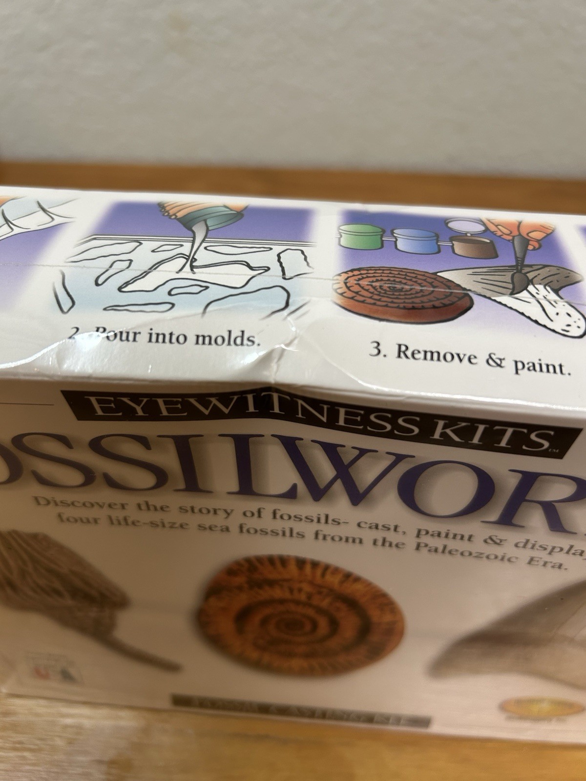 Skullduggery Eyewitness Kits Perfect Cast Fossilworks Cast, Paint, Display NEW