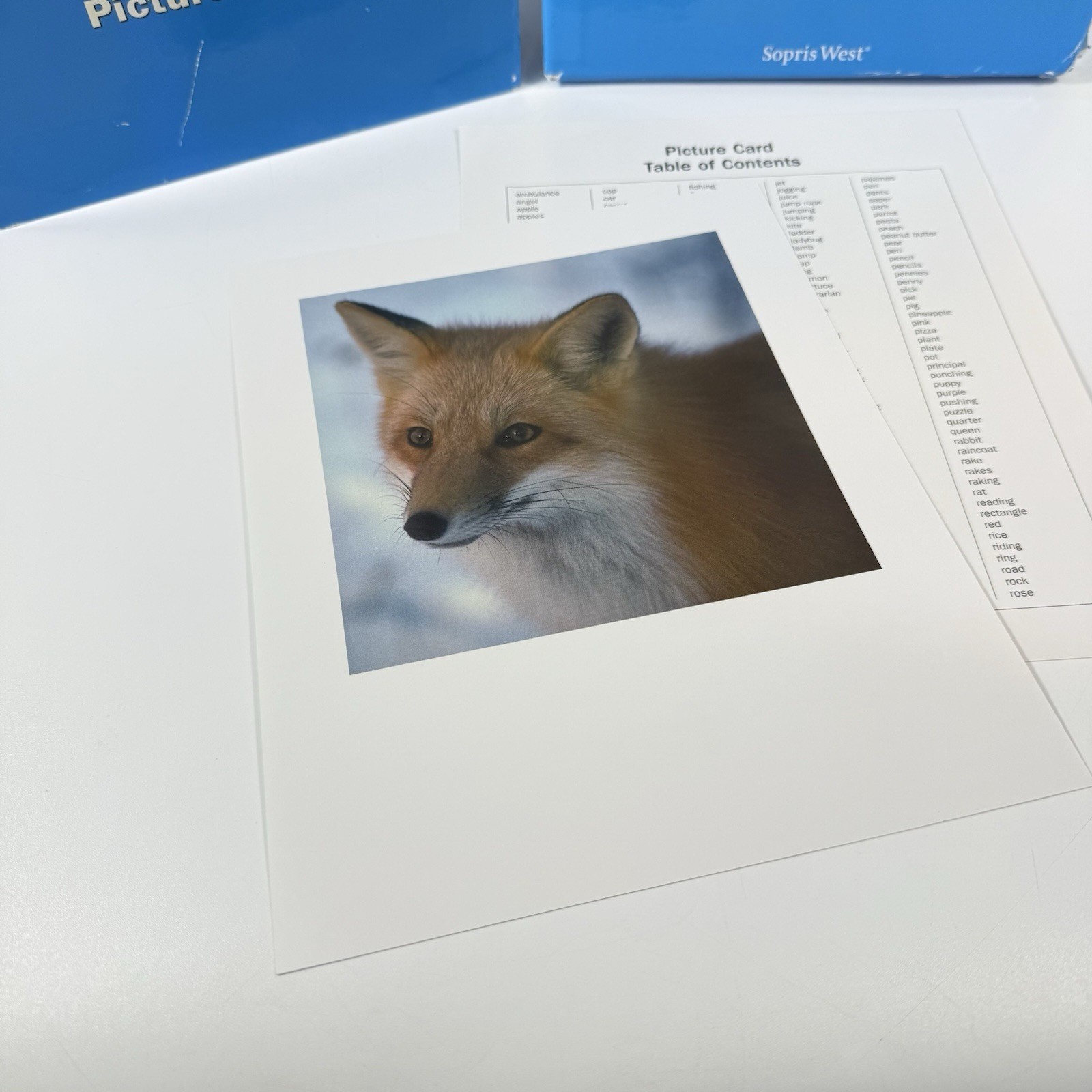 Language! The Comprehensive Literacy Curriculum Picture Cards Sopris West Edu