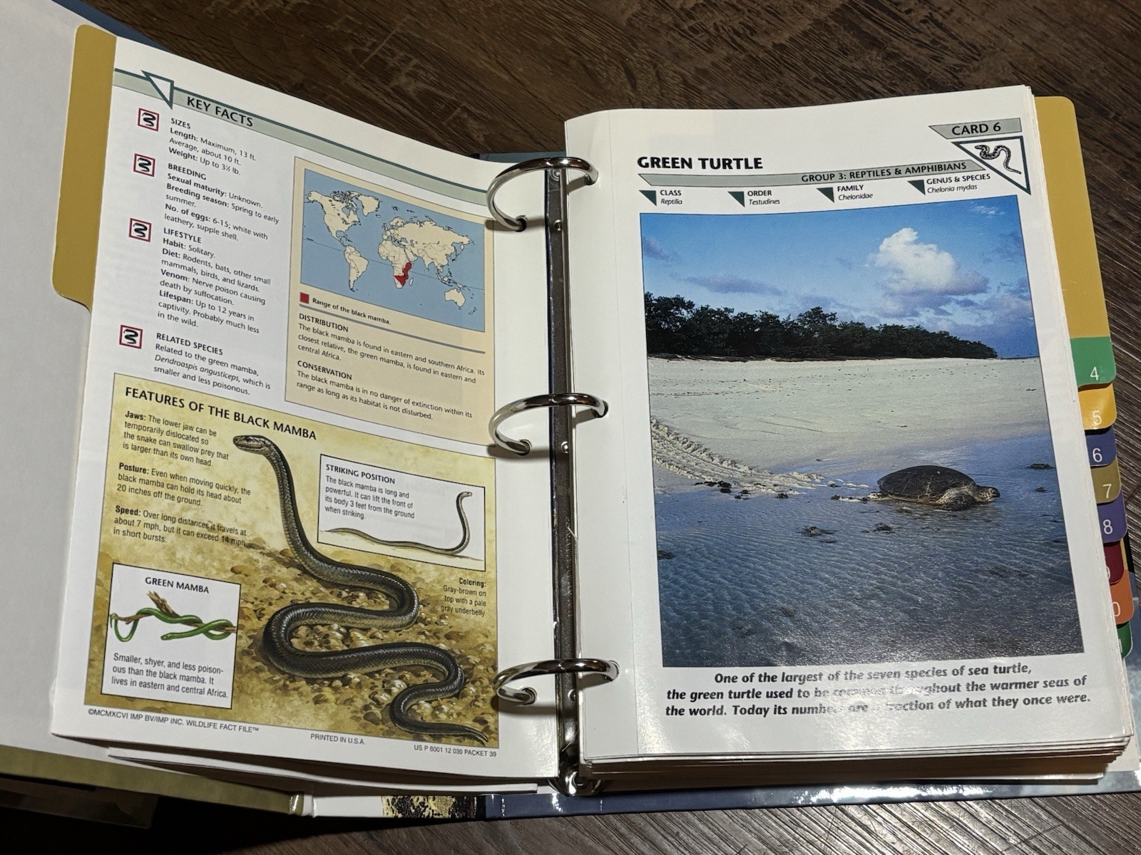 Wild Life Fact File Binders 1-11 Groups Home School Animal Identification