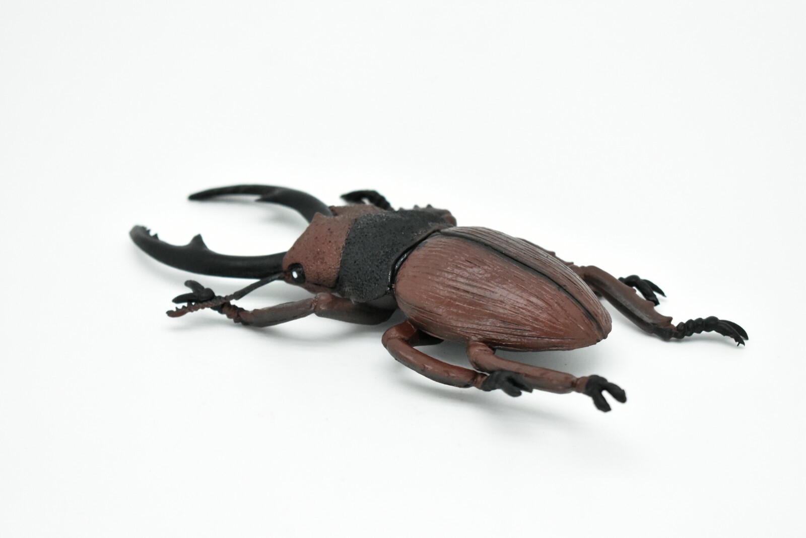 Beetle, Giant Stag, Very Nice Rubber Replica 6″ – F2062 B133