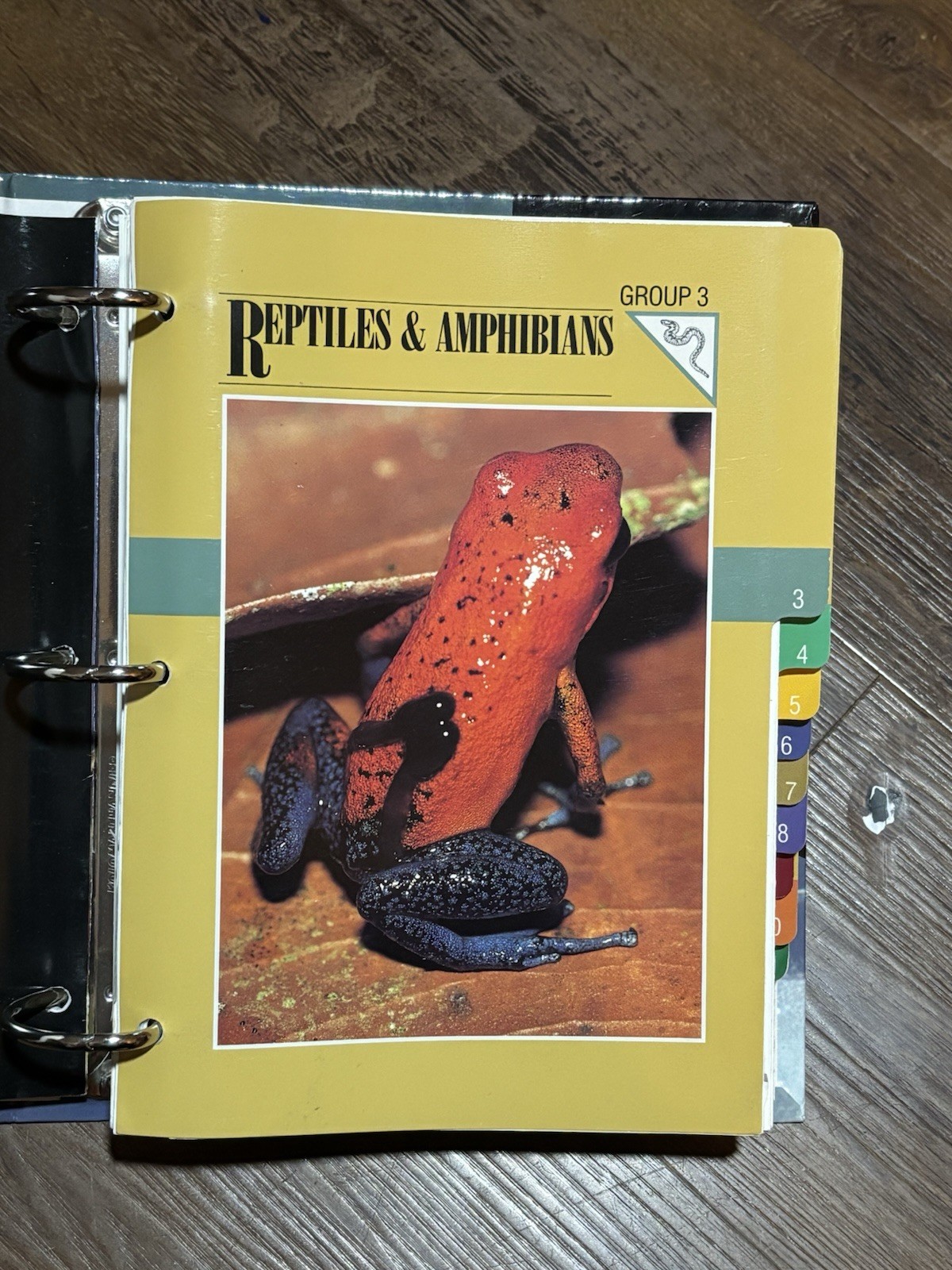 Wild Life Fact File Binders 1-11 Groups Home School Animal Identification