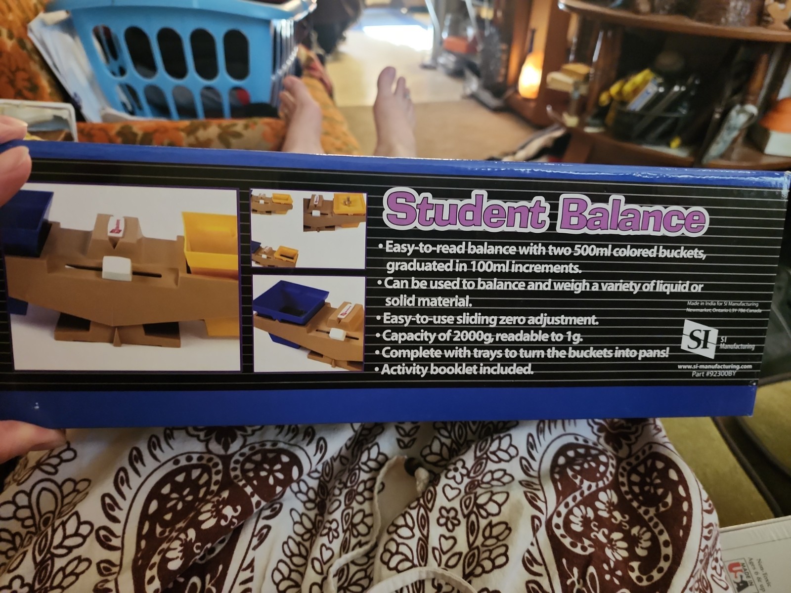 Student Balance Science Educational Scale Set w/ 2 Buckets, 2000g Capacity