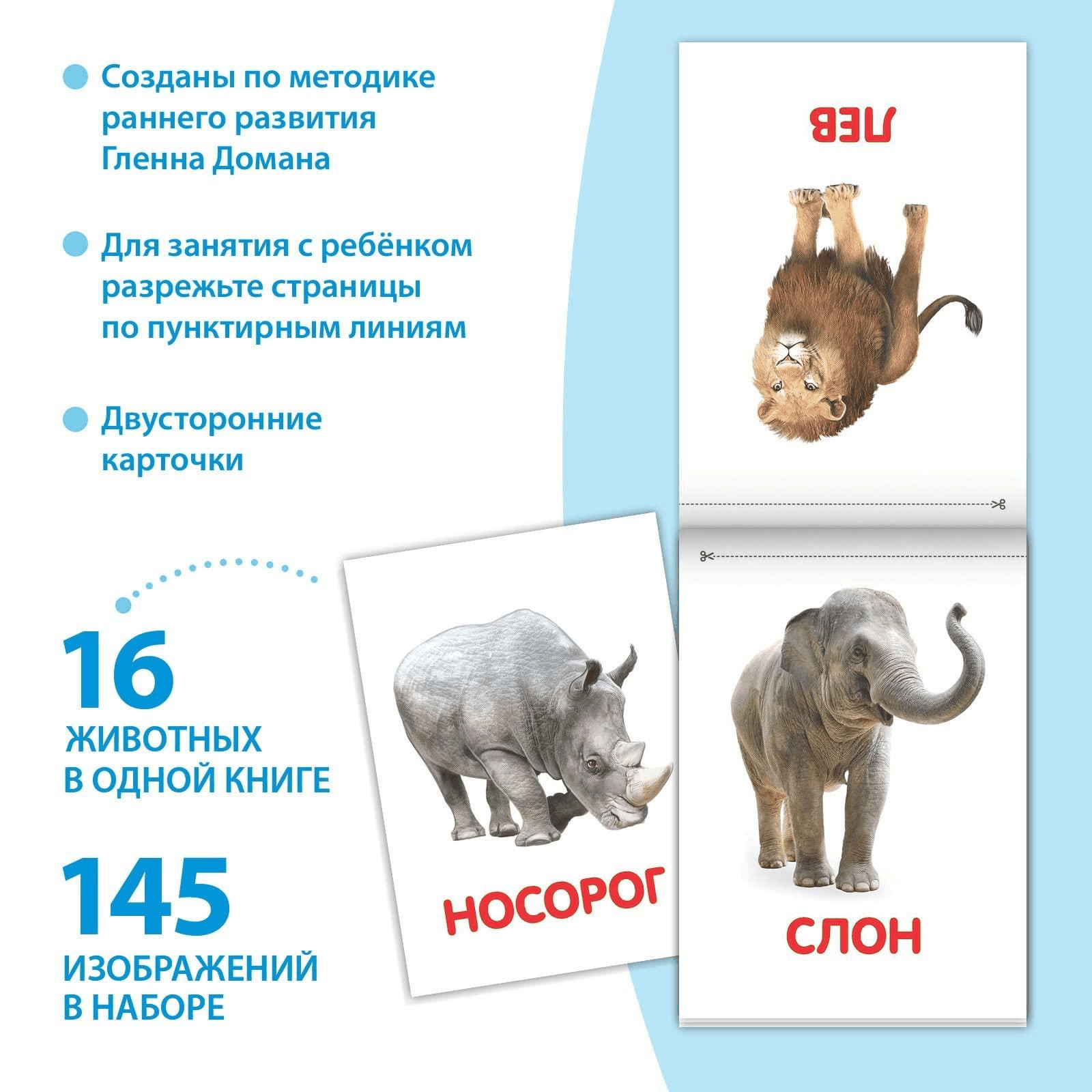 Doman Method Russian Flashcard Book Set for Learning Set 8 Topics from Farm