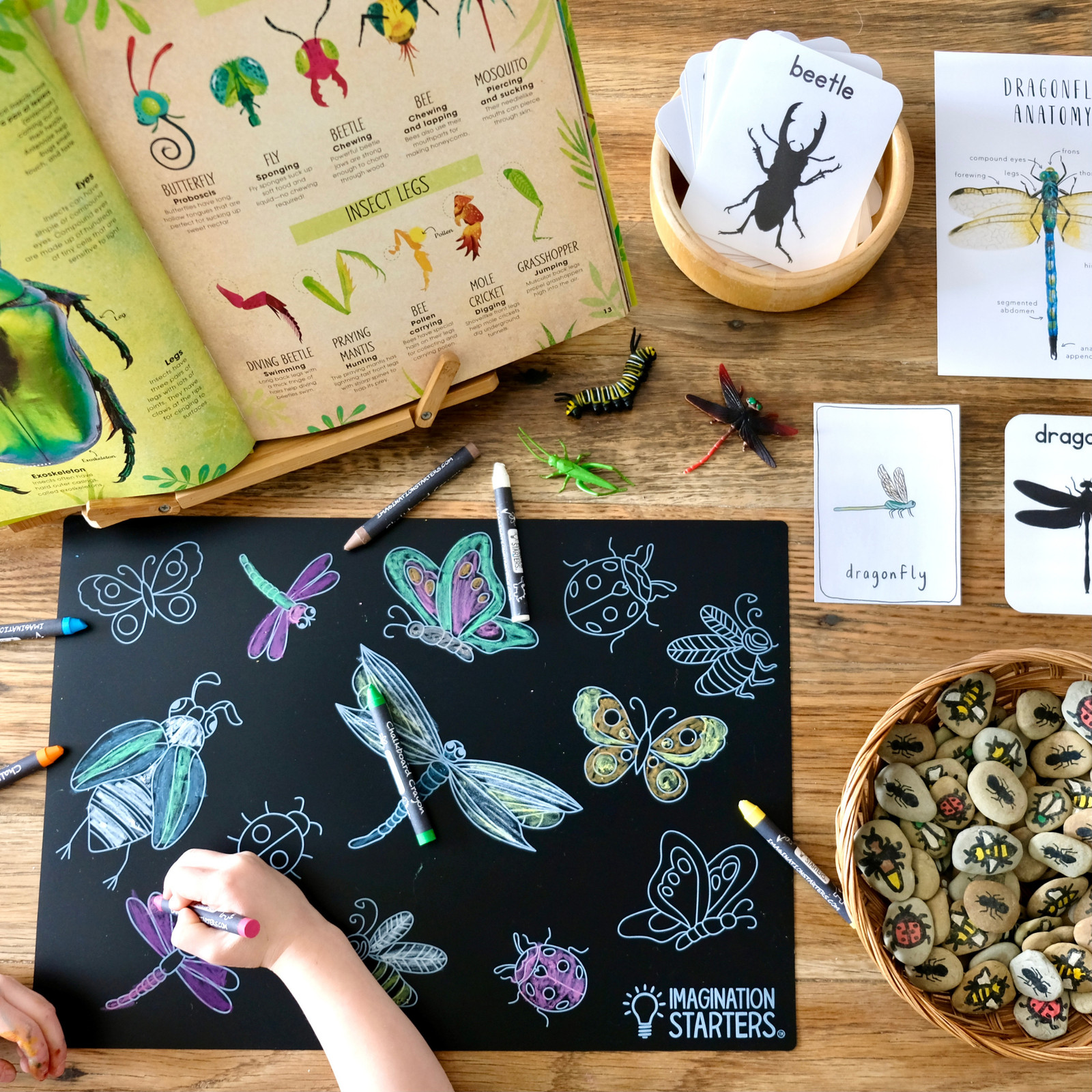 Imagination Starters – Chalkboard Bugs Placemat 12×17