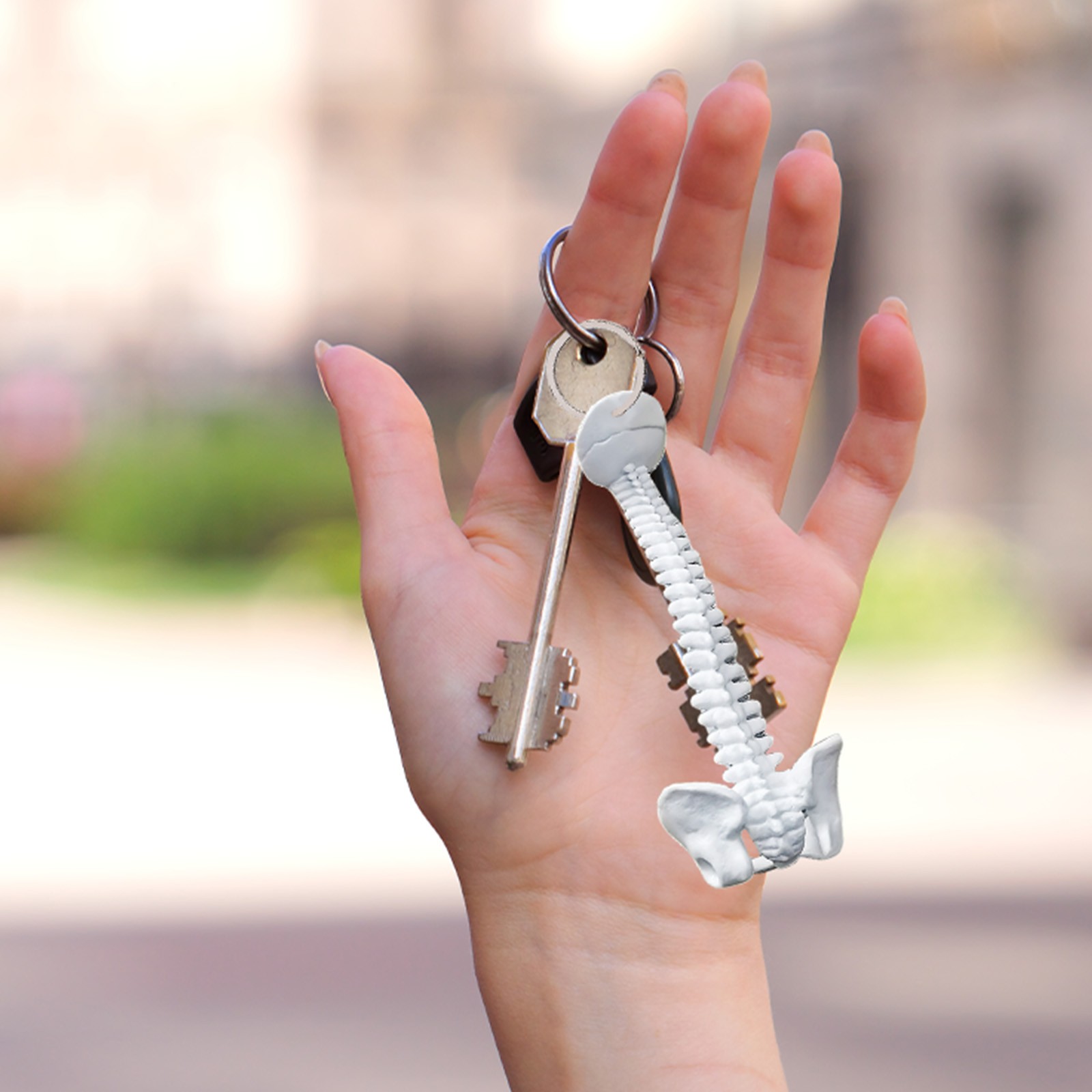 Human Spine Skeleton Keychain, Mini Model 9.5 x 4cm,