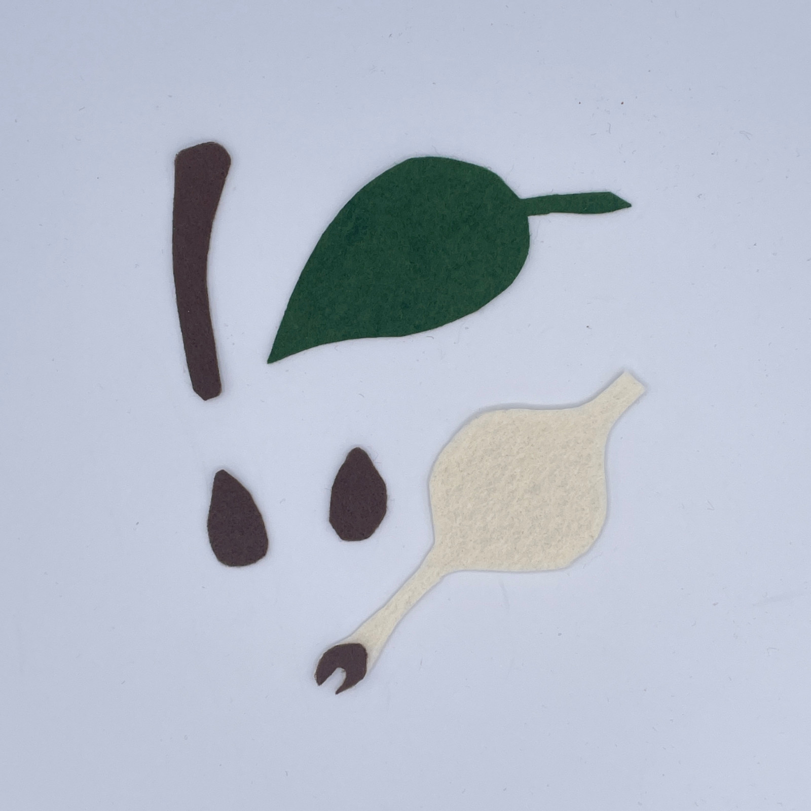 Parts of an Apple Science Felt Story Set for Felt/Flannel Board with Worksheet