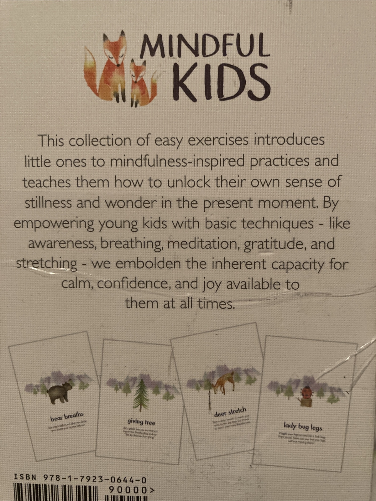 LITTLE RENEGADES Mindful Kids Cards Everyday Exercises Mindfulness Stillness….