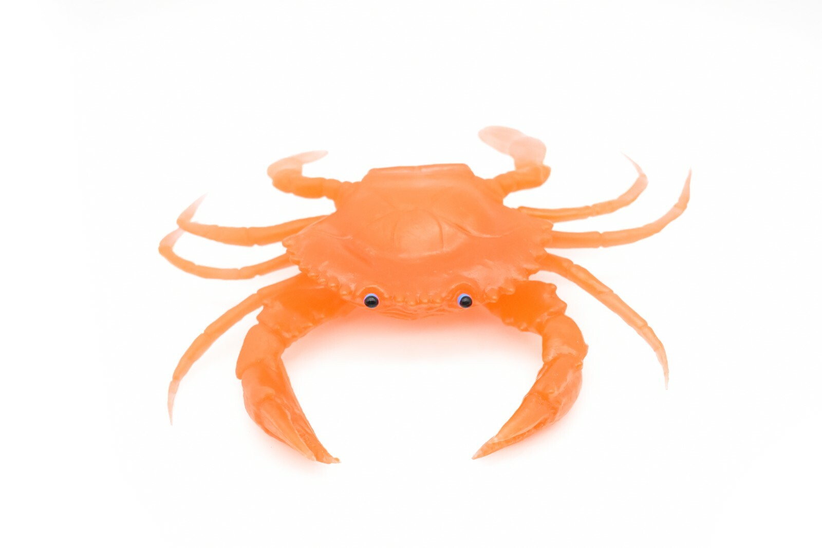 Orange Crab, With Squeak, Very Nice Rubber Replica 7″ F1764 B188