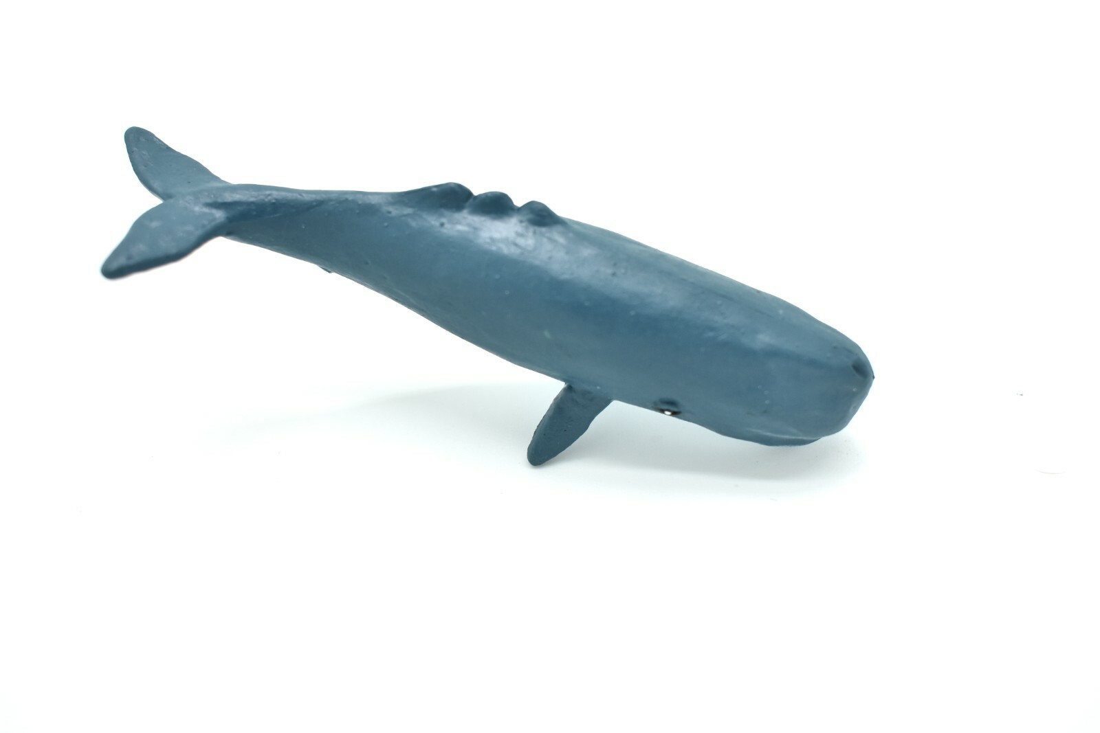 Sperm Whale Plastic Replica 3Long ~ F3909-B9