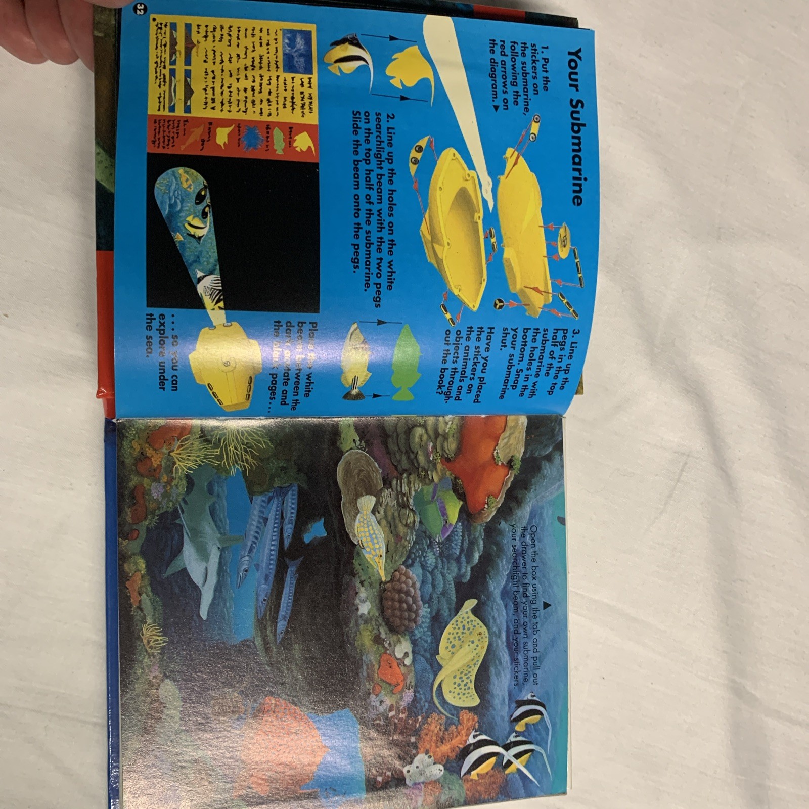 Scholastic Discovery Box Under The Sea Book & Activity Kit