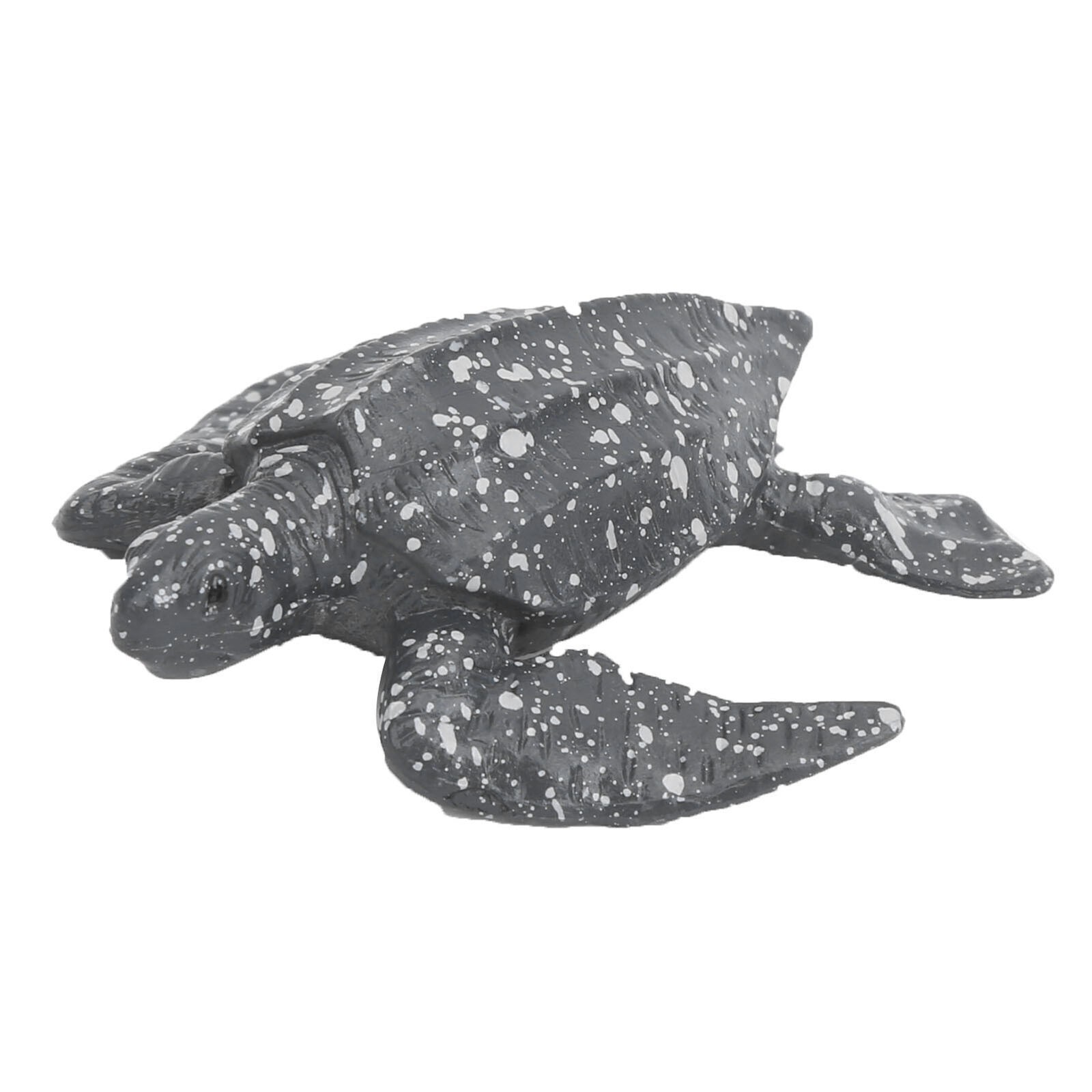 The Simulation Animal Model Sea Life Animals Life Cycle Cognitive Model