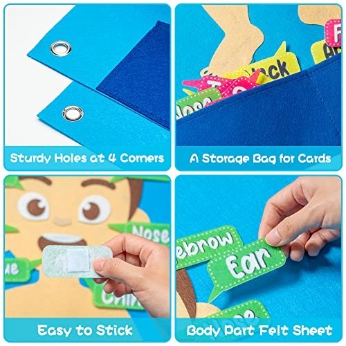 35Pcs Felt Body Parts Learning Set – Educational Storyboard for Kids, Interactiv