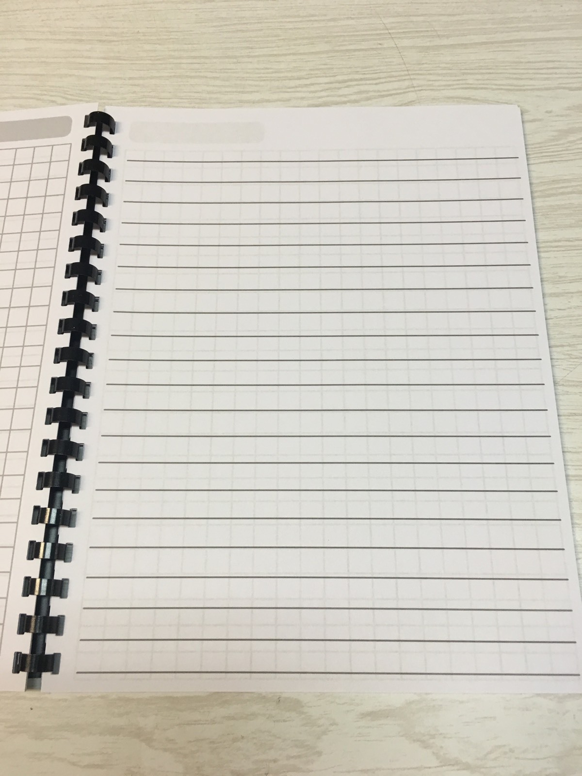Science Journals – Ruled Lines & Grid Pages 30 pages- Classroom Set Of 10