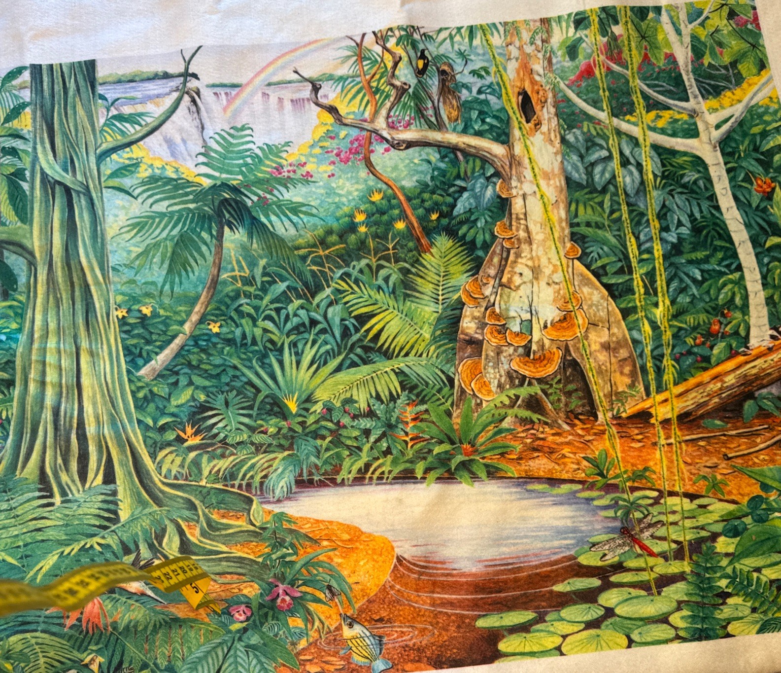 Story Teller Rain Forest Felt Flannel Board 38 X 28 w/Village Animal Set Spots