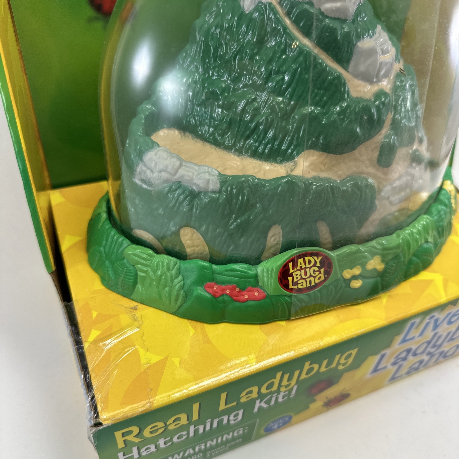 Insect Lore Real Ladybug Hatching Kit Live Ladybug Land 2100 New