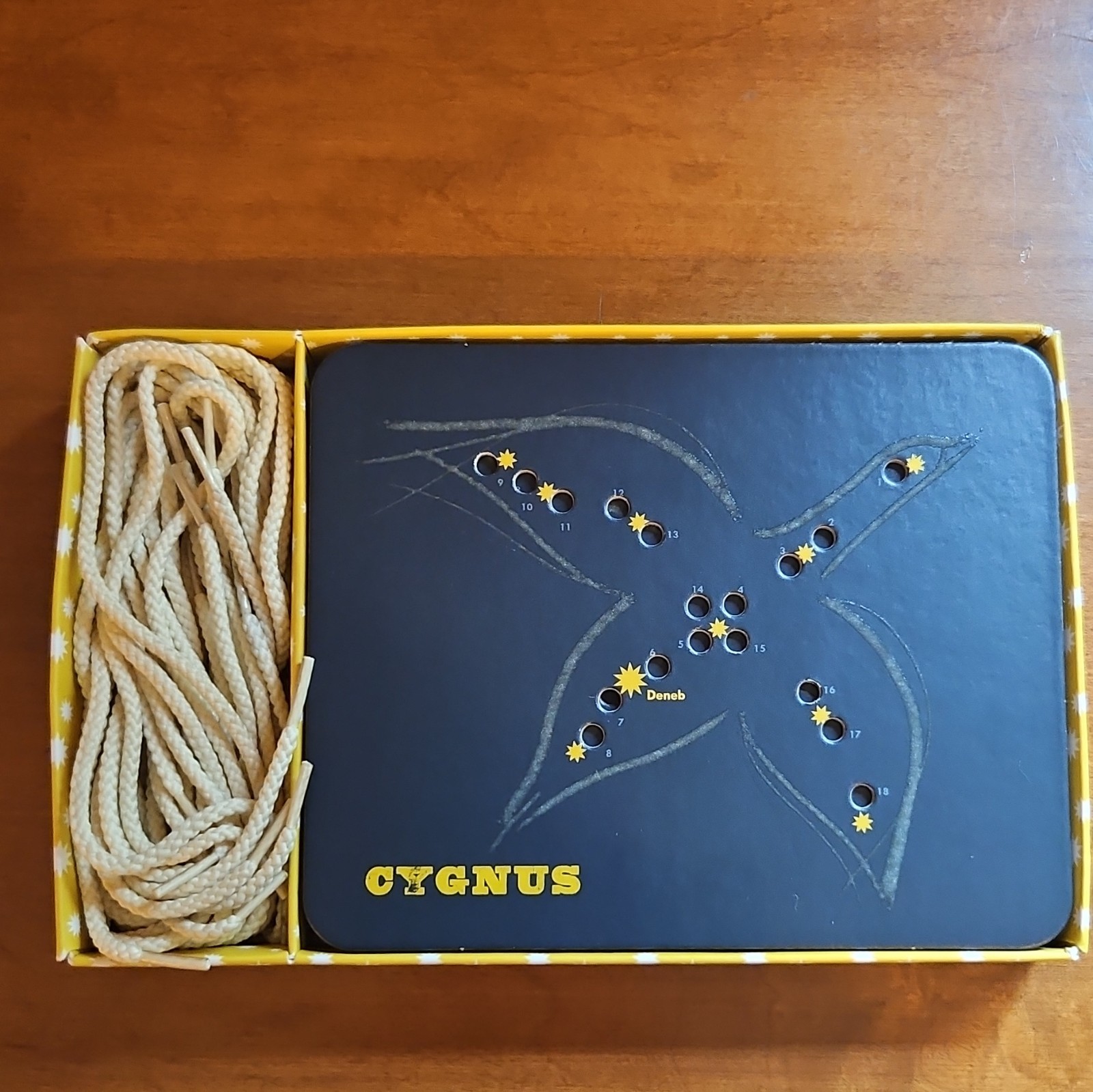 Animals In The Stars Glow-in-the-Dark Constellation Lacing Cards Set