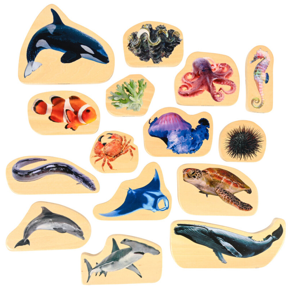 LEARNING ADVANTAGE CTU73566 Wooden Sea Life Blocks Set Of 15