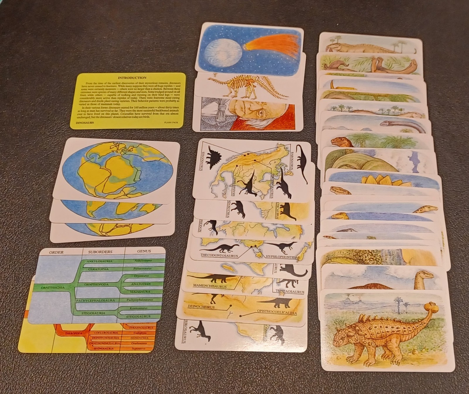 2 Sets / Vtg 60+ DINOSAURS Flash Cards Identification Cards Learning Teaching -Z