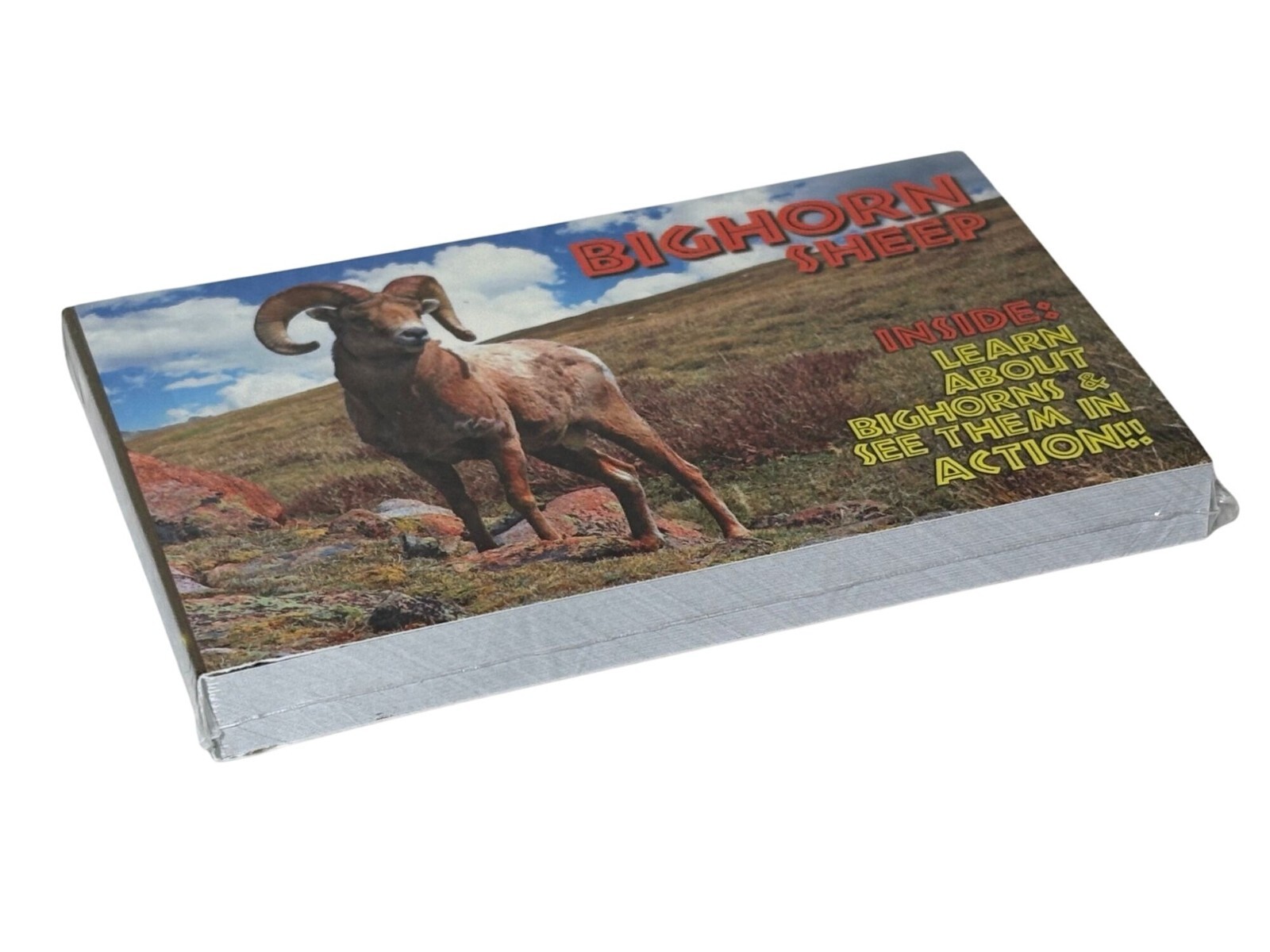 Bighorn Sheep Flipbook By Flipworkz – See Bighorns In Action, Learning Cards