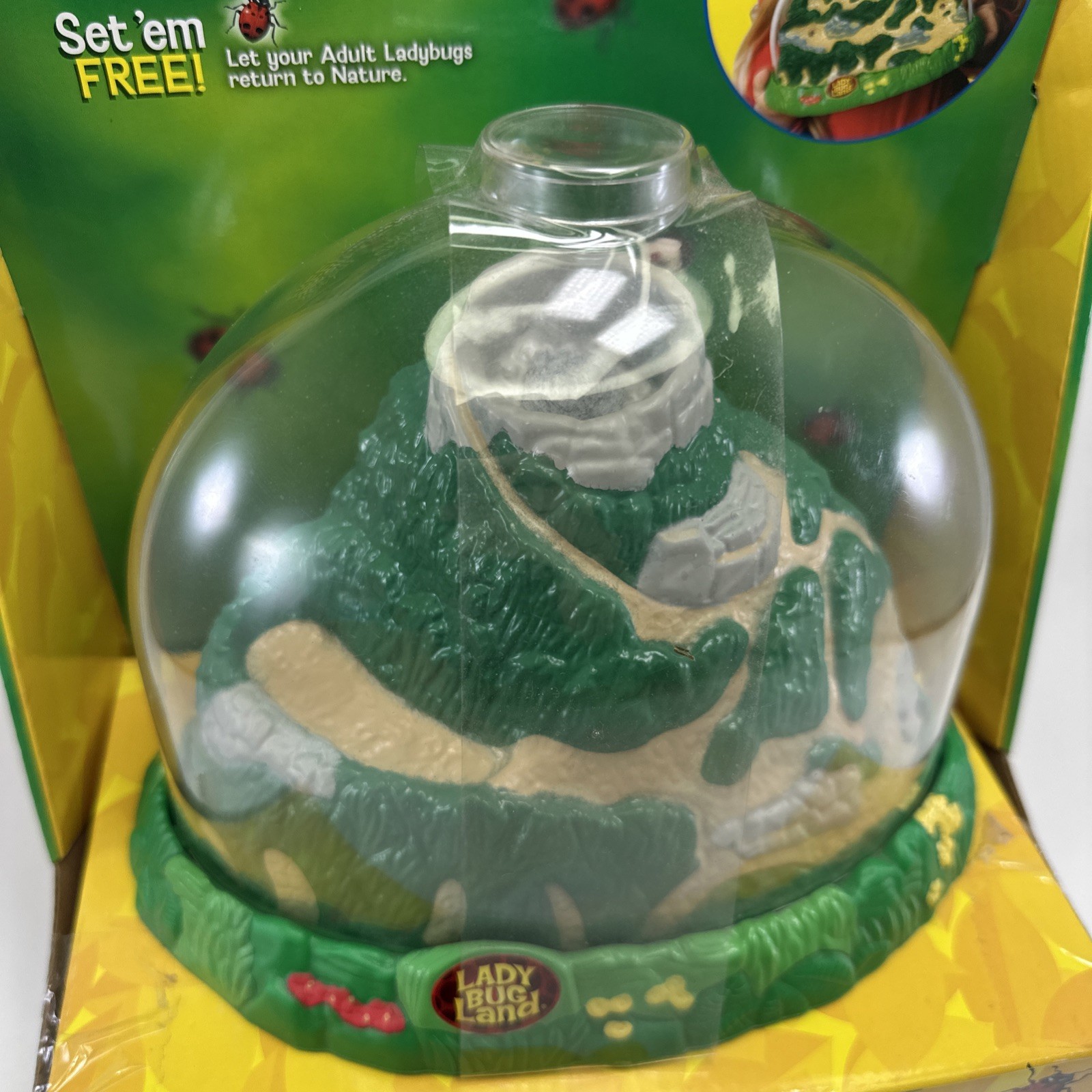 Insect Lore Real Ladybug Hatching Kit Live Ladybug Land 2100 New