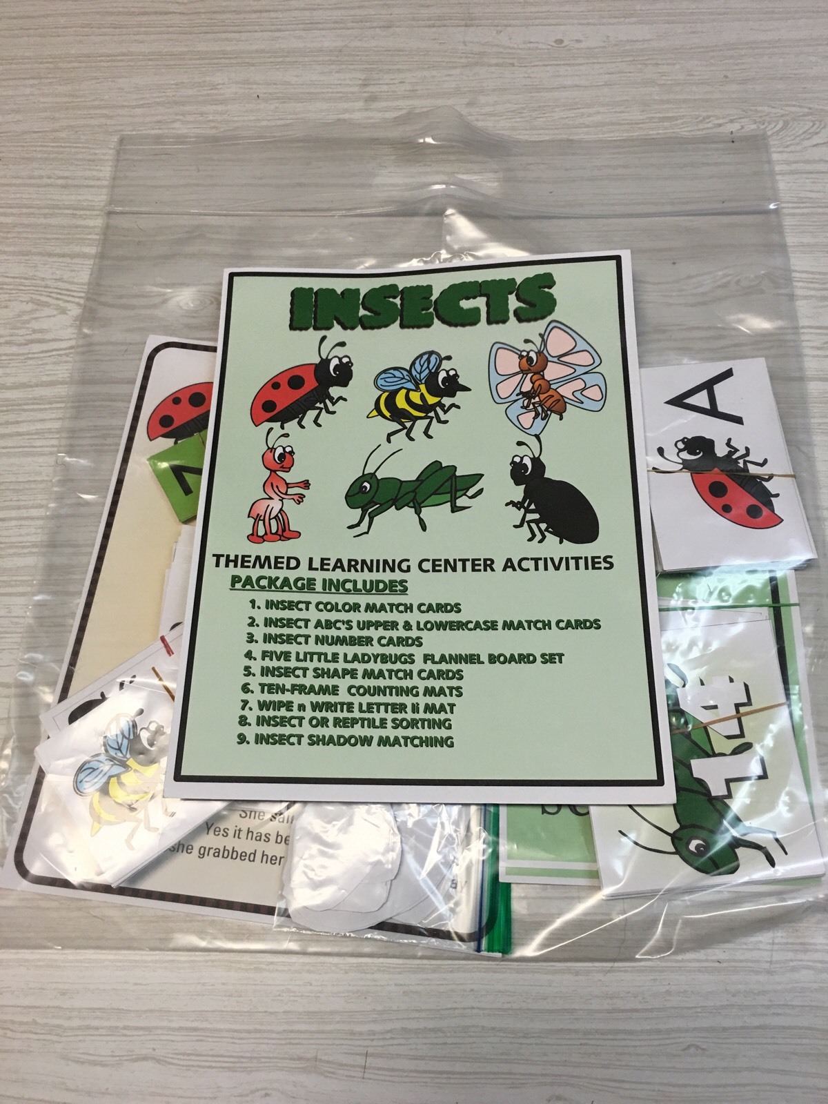 INSECTS-THEMED Learning Activities Package LAMINATED preschool Daycare