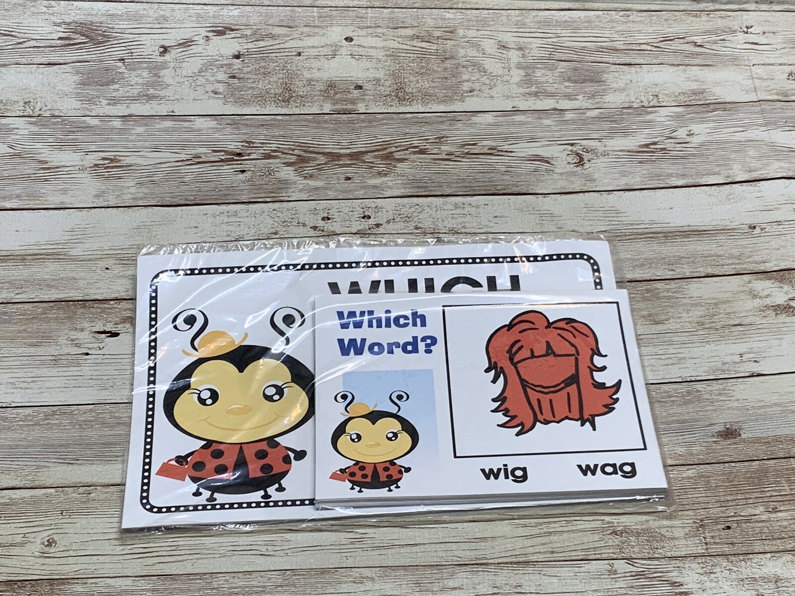 Lady Bug – Themed Learning Centers – Laminated – Which Word