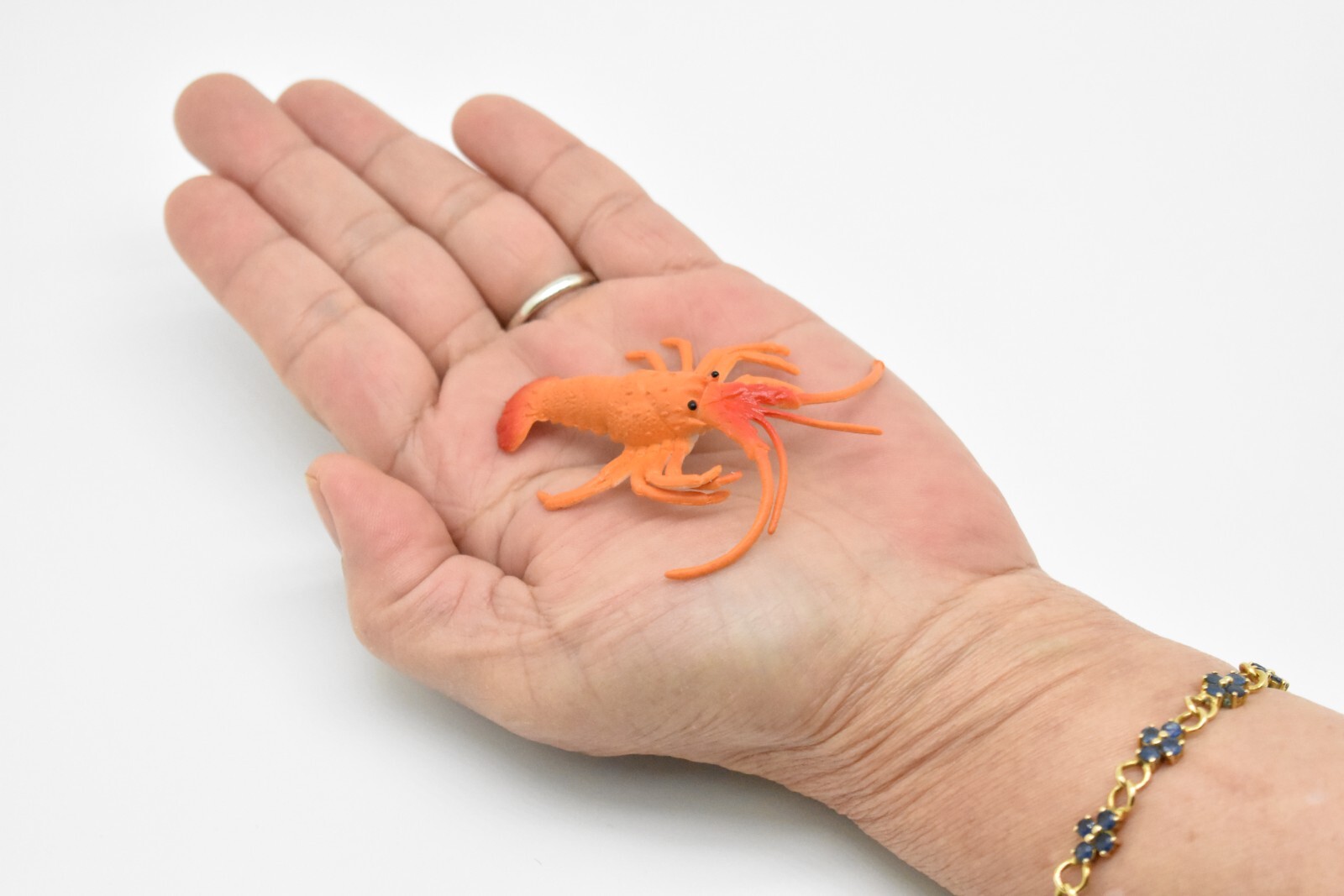 Lobster Toy, California spiny lobster, Realistic Plastic Replica 3″ CWG275 B46