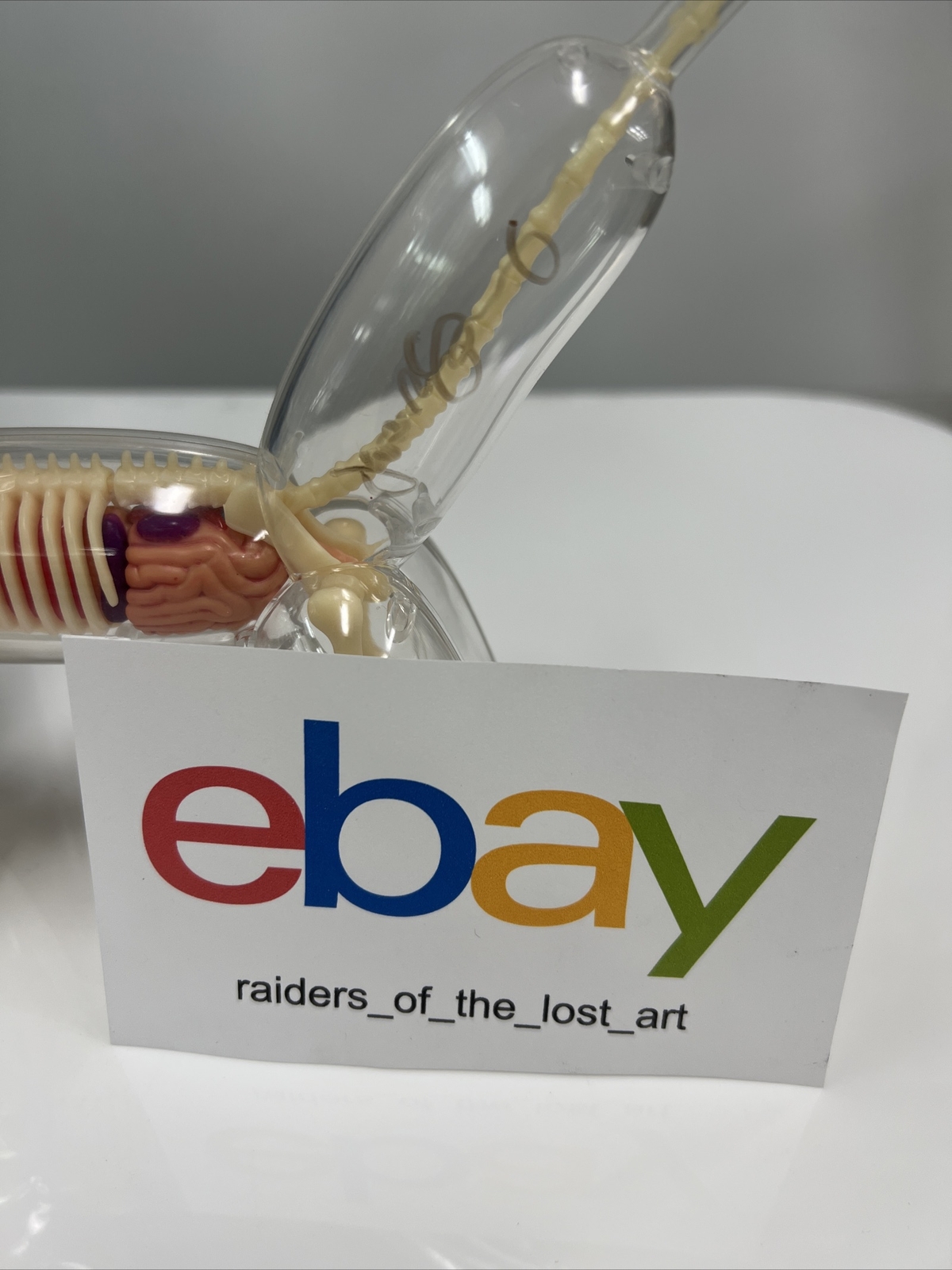 4D Master MIGHTY JAXX Balloon Dog Anatomy Toy SIGNED by Jason Freeny