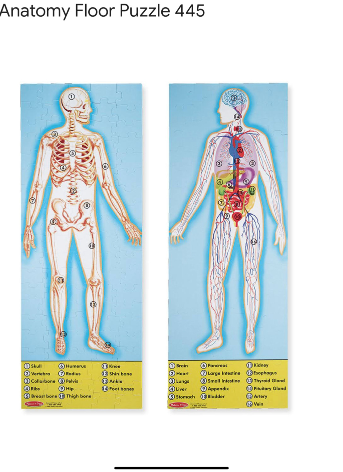 Vintage Melissa & Doug Human Anatomy Extra Large Double-Sided Floor Puzzle