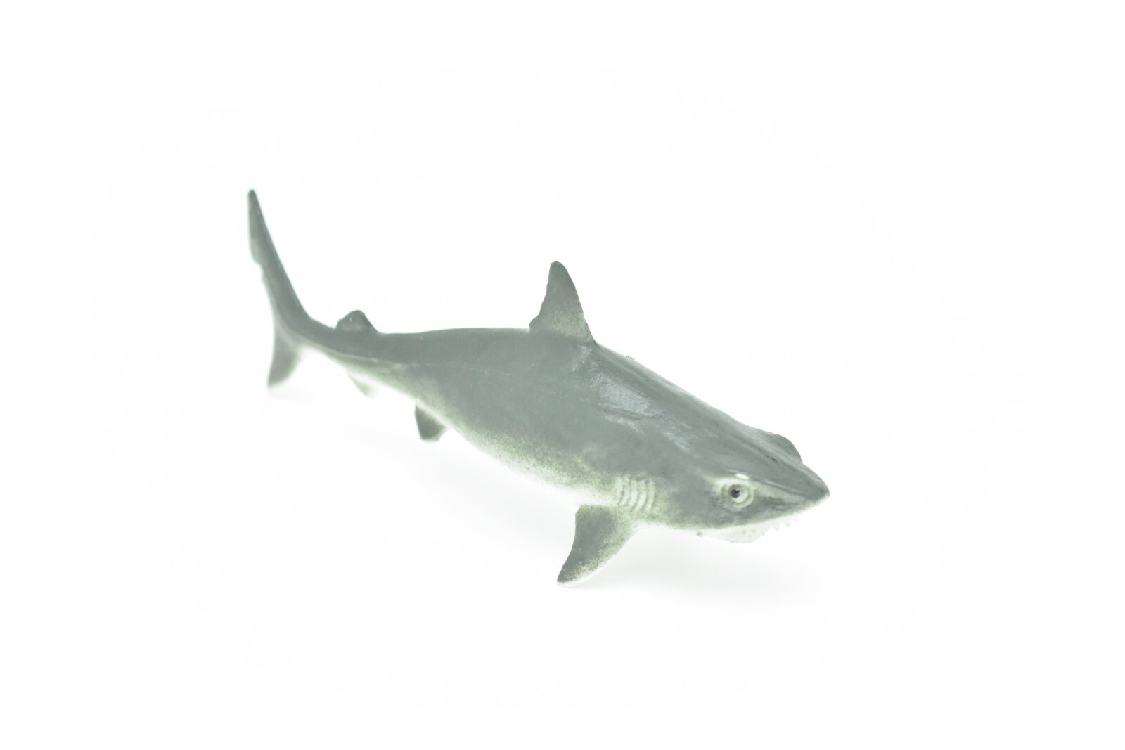 Tiger Shark, Realistic Toy Model Plastic Replica Kids Educational Gift 5″ F6015