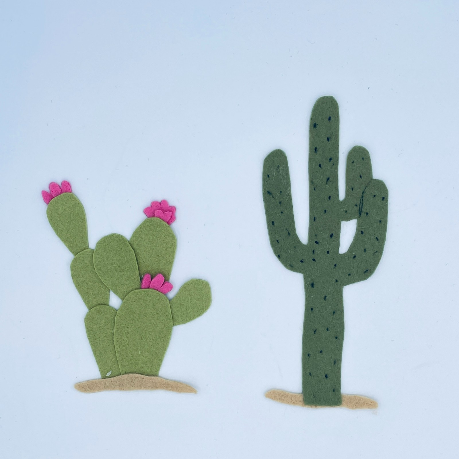 Desert Life Felt Story Set – Desert Habitat Animals