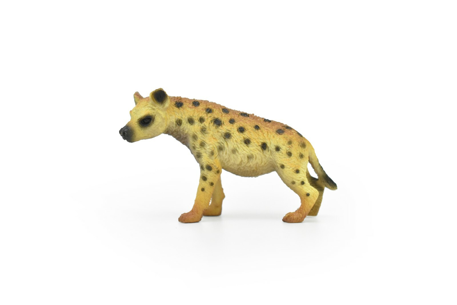 Hyena, Realistic Toy Small Plastic Replica, Model Hand Painted 3″ CWG185 BB44