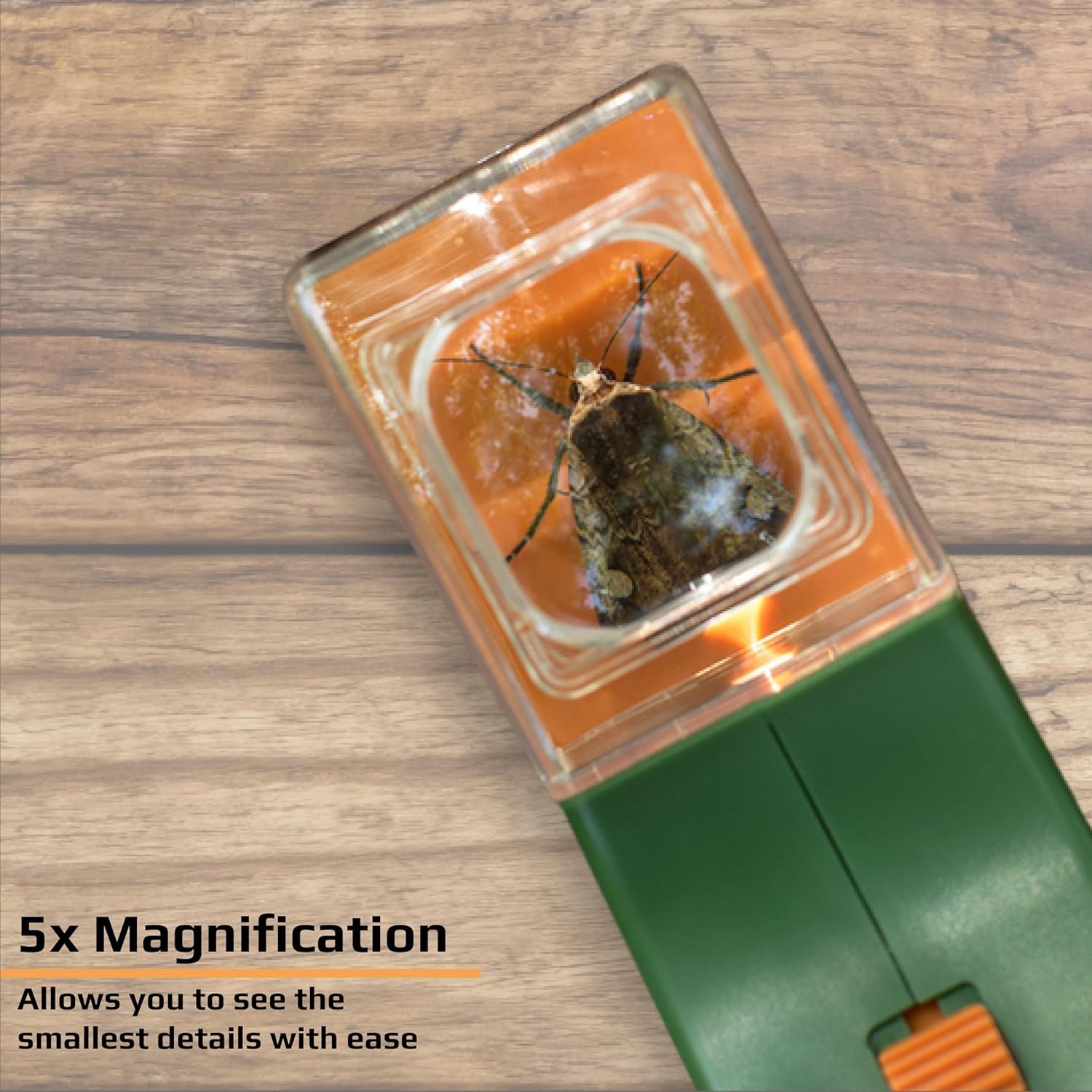Carson BugView Quick-Release Bug Catching Tool and Magnifier for Children and Ad