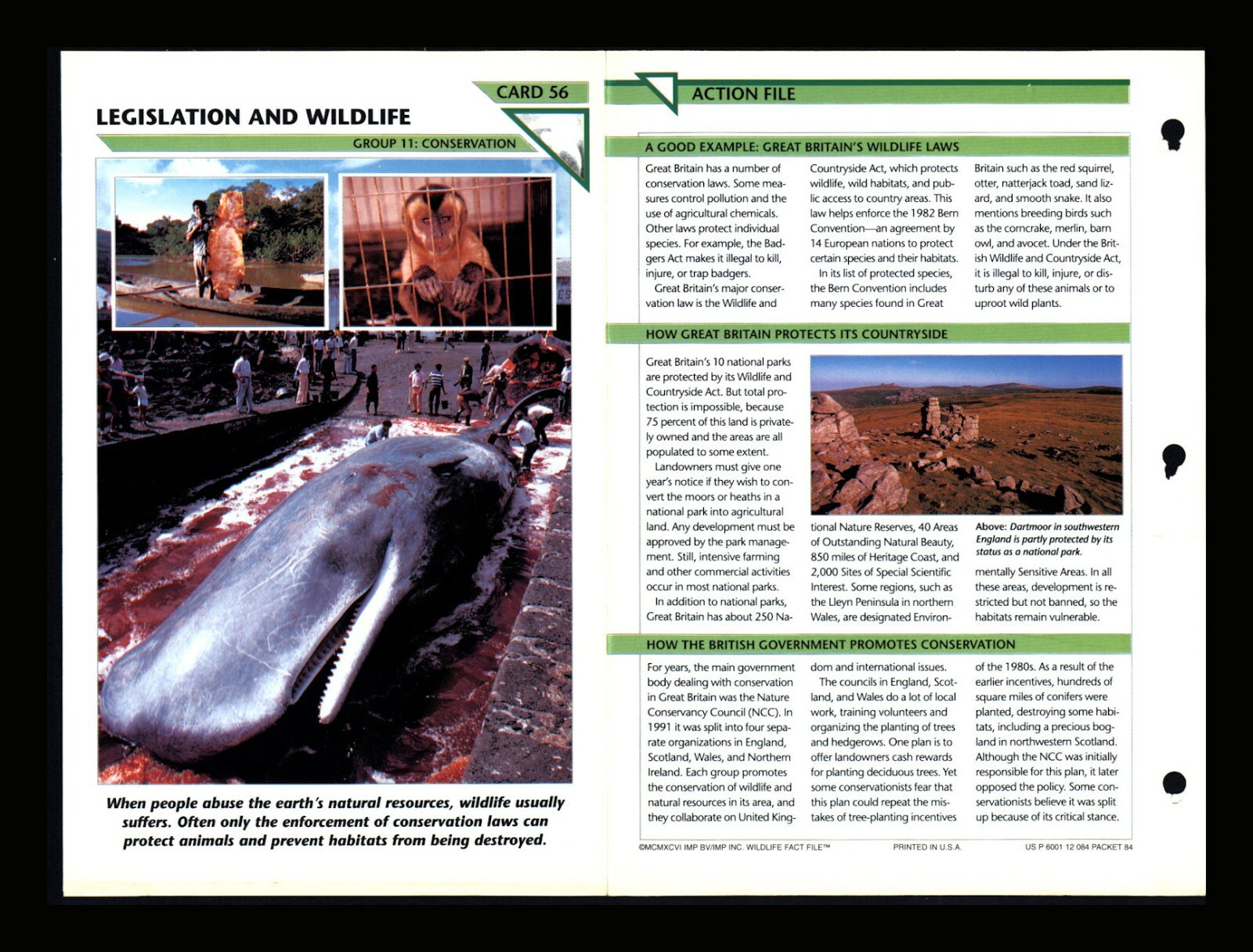 Legislation and Wildlife Fact File Card Conservation Home School 11.56