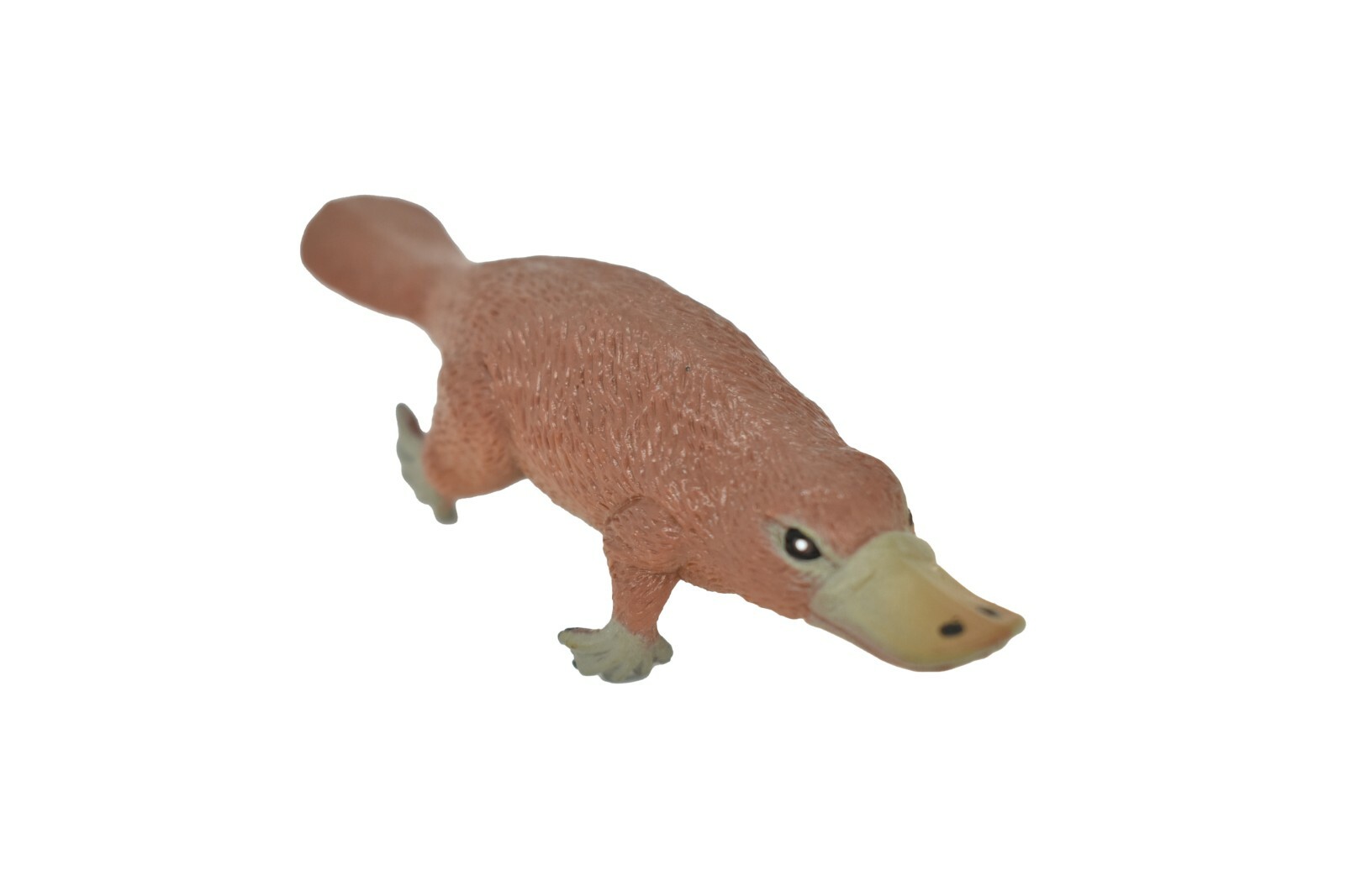 Platypus, ~ Very Nice Plastic Replica 3 1/2″ ~ F1091-B170