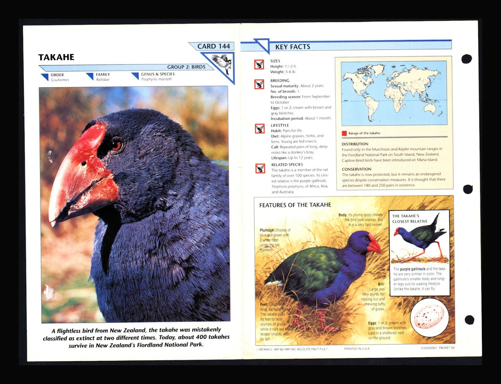 Takahe Wild Life Fact File Bird Animal Card Home School Study 2.144