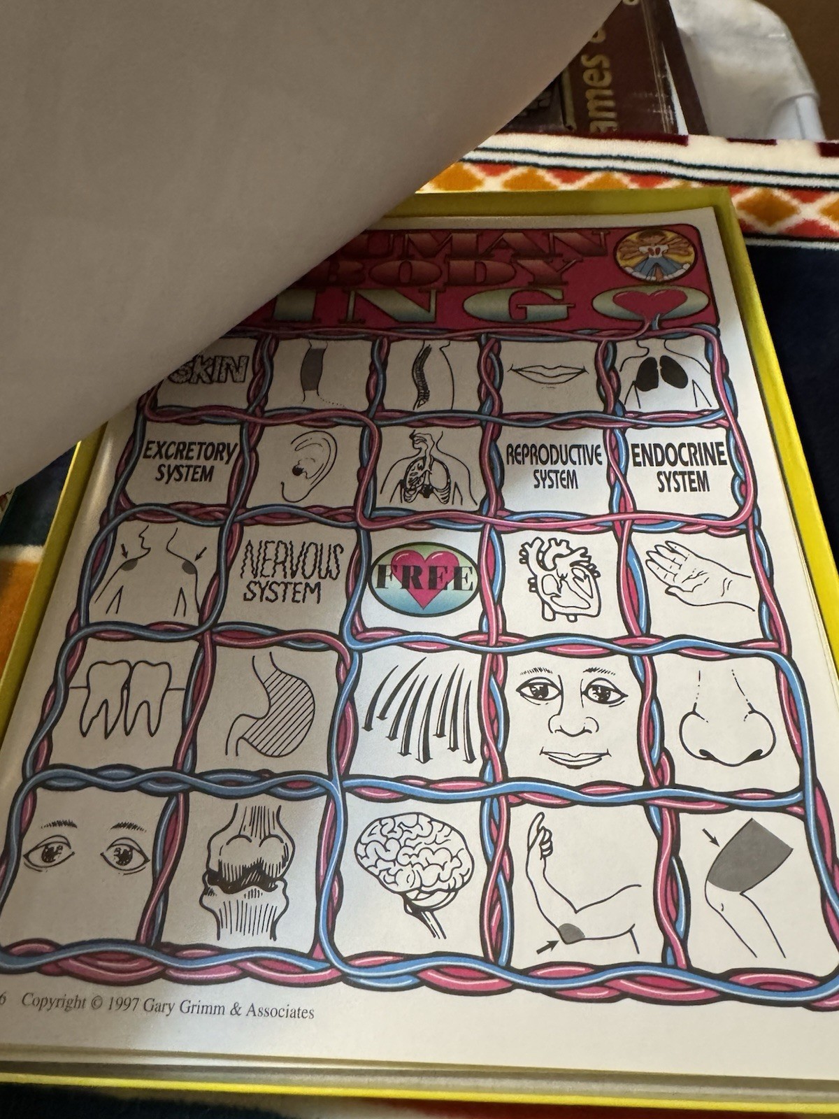 JINGO Human Body Bingo Educational Game by Gary Grimm School Homescho