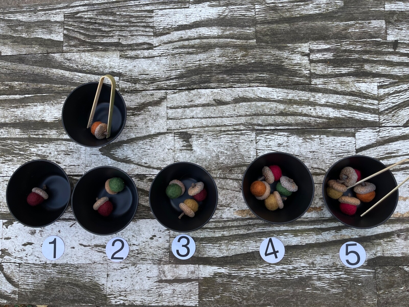 Natural Felted Acorn Montessori Waldorf Work Preschool Sequence & Color Sorting!