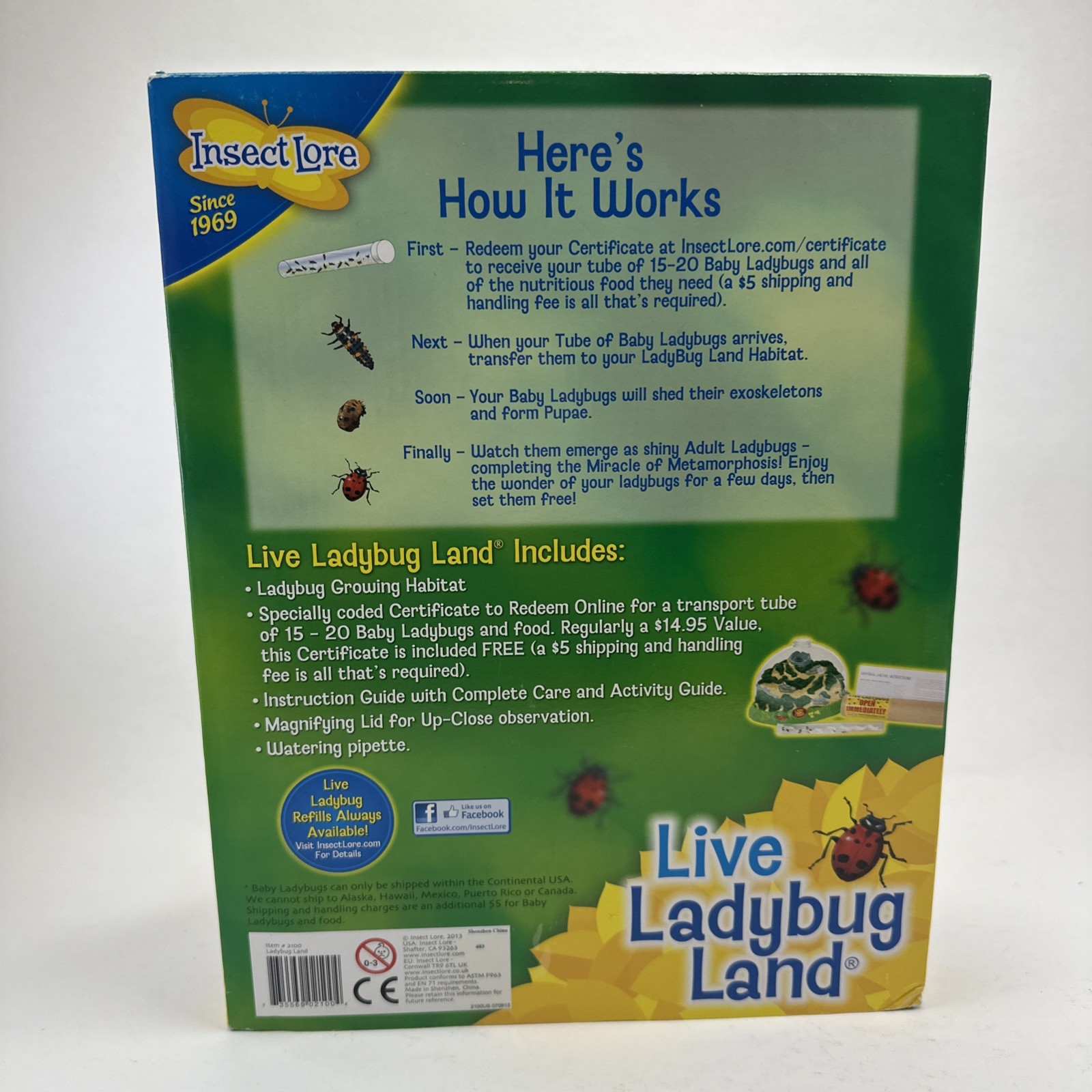 Insect Lore Real Ladybug Hatching Kit Live Ladybug Land 2100 New