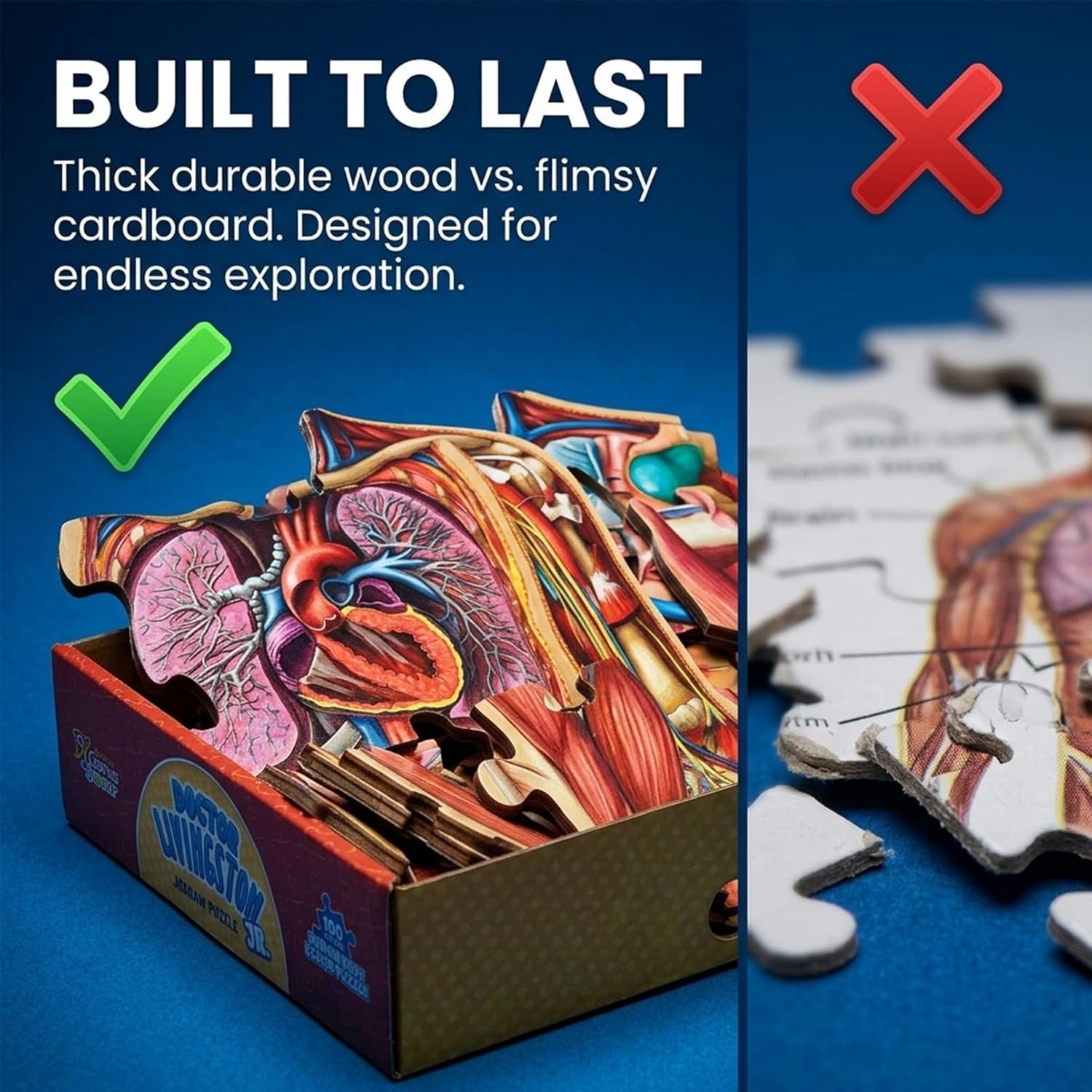 Human Anatomy Kids Floor Puzzle – Dr Livingston Jr’s 100-Piece Full Body Jigsaw