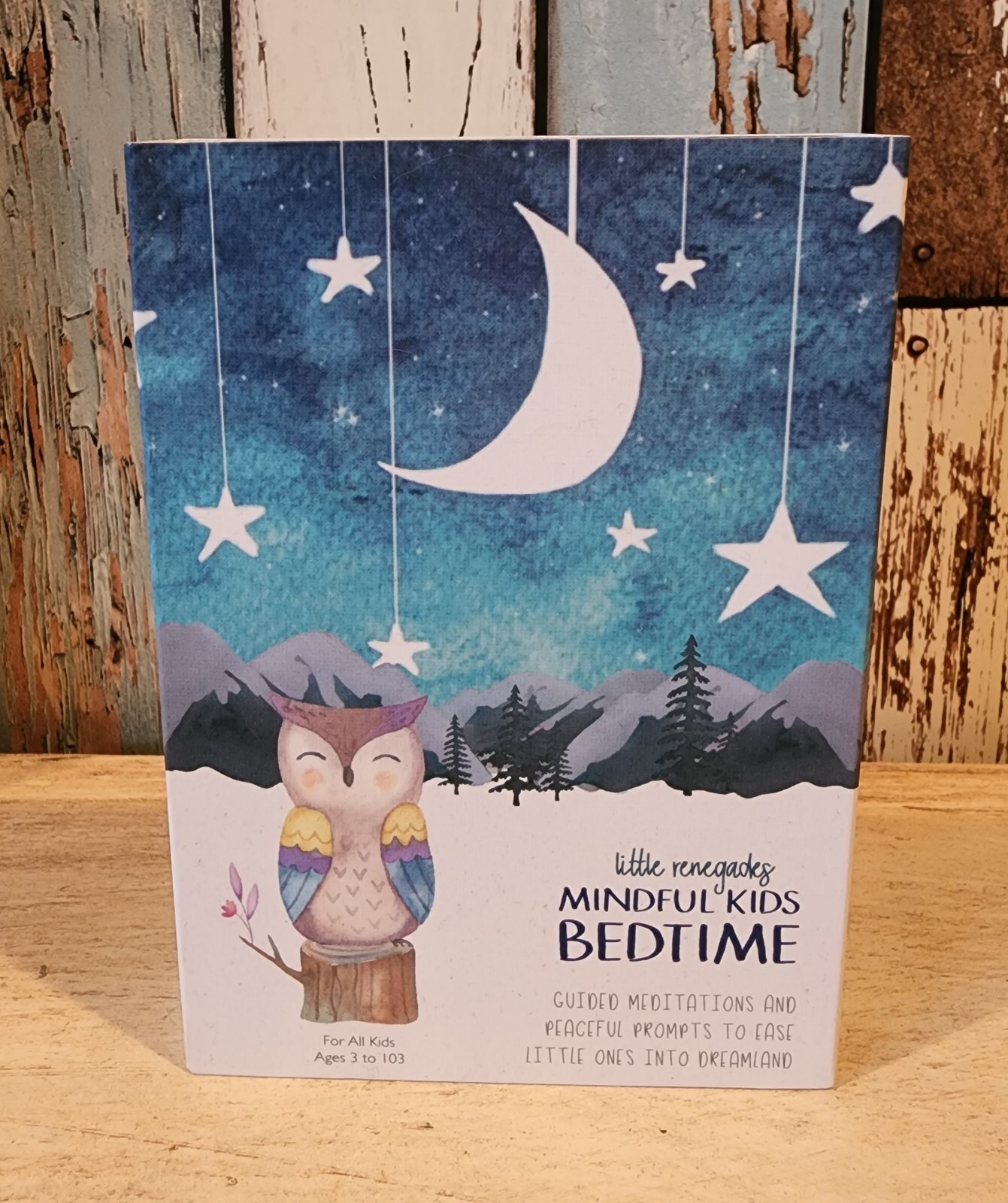 Little Renegades Mindful Kids “Bedtime” – Guided Meditations & Peaceful Prompts