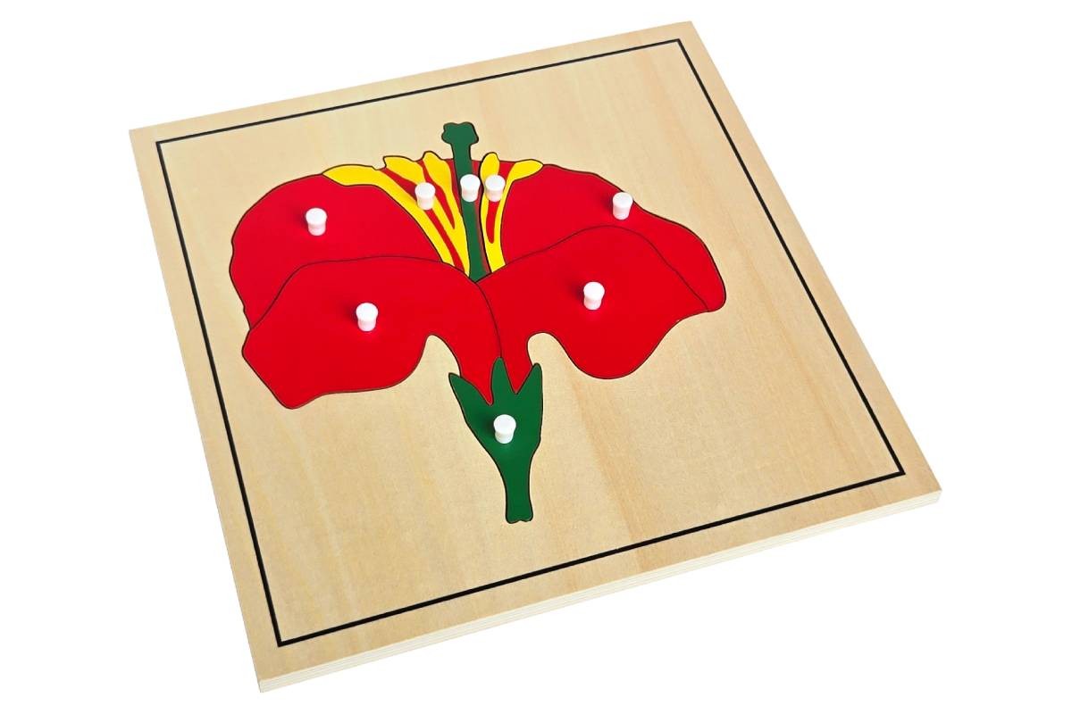 Flower Puzzle – MONTESSORI BIOLOGY / BOTANY MATERIALS