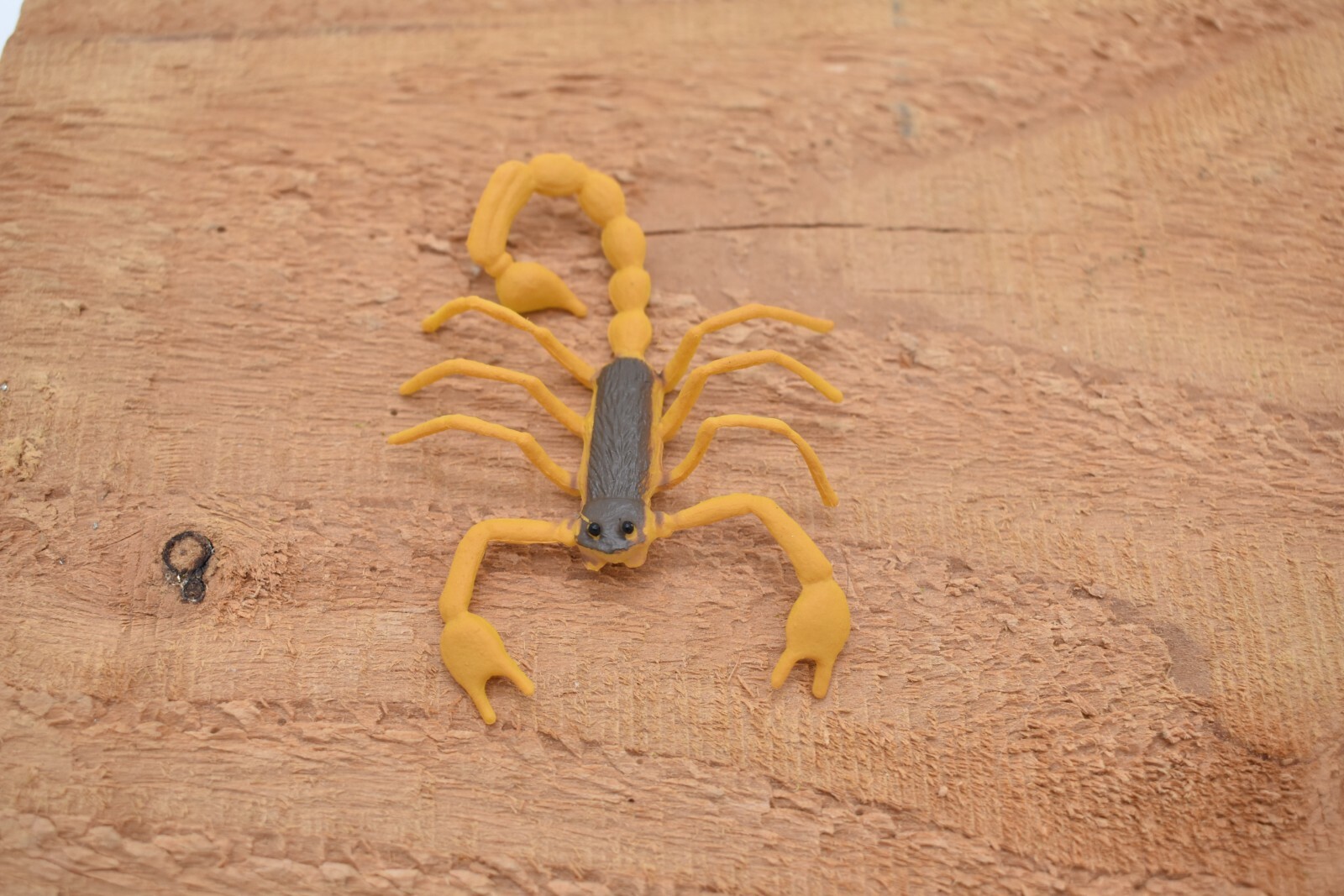 Scorpion Orange Black Plastic 2.5 inches Length – F1055 B190