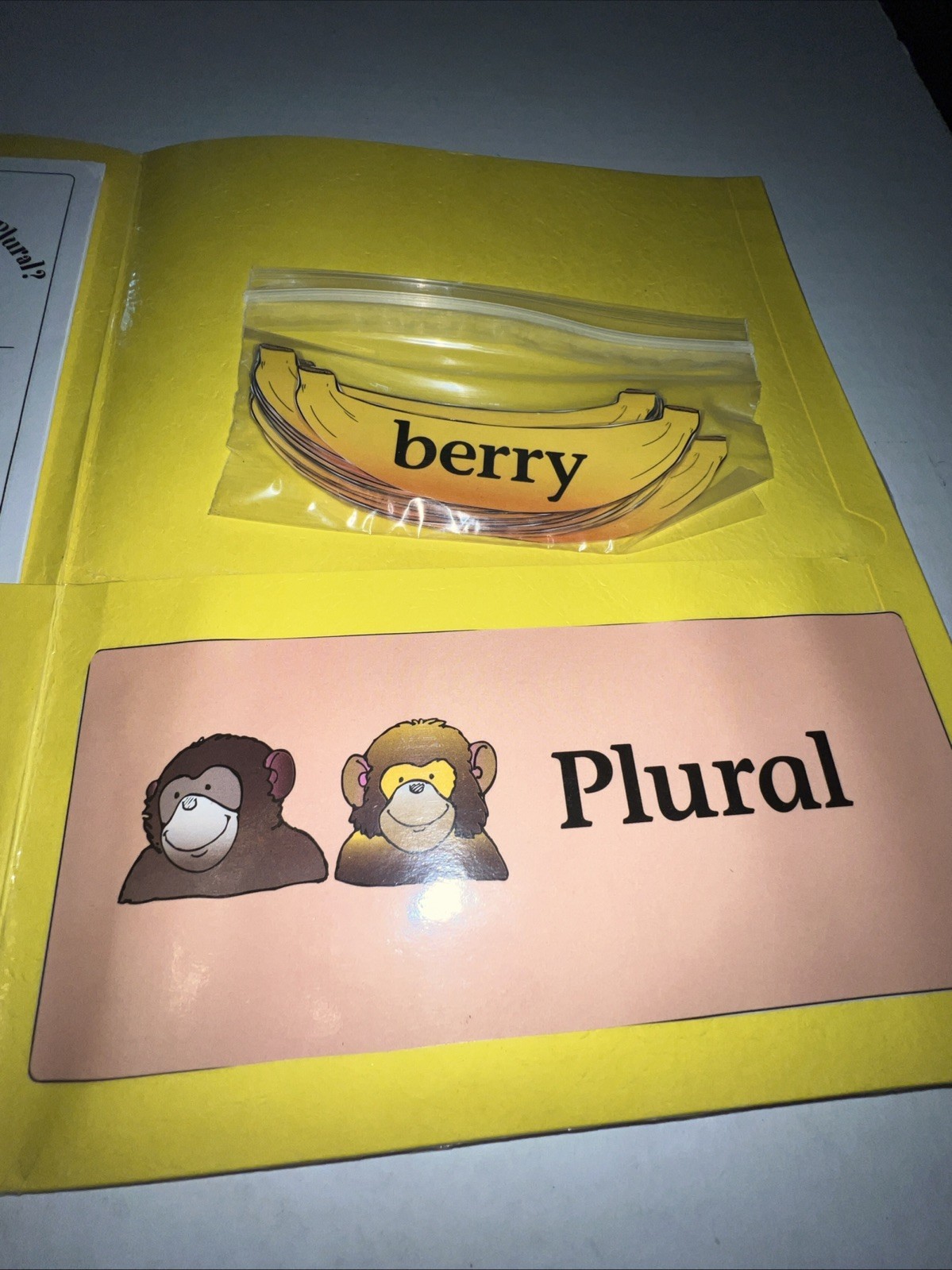 Singular Or Plural? Grades K-1 File Folder Game