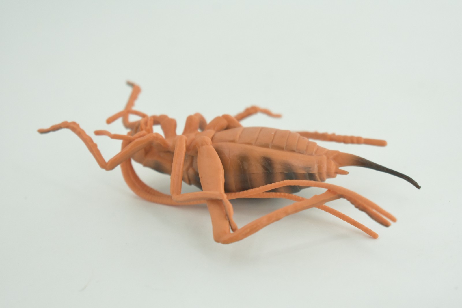 Cricket Toy, Hand Painted, Hard Rubber, High Quality, Realistic Bug, Gift CH1025