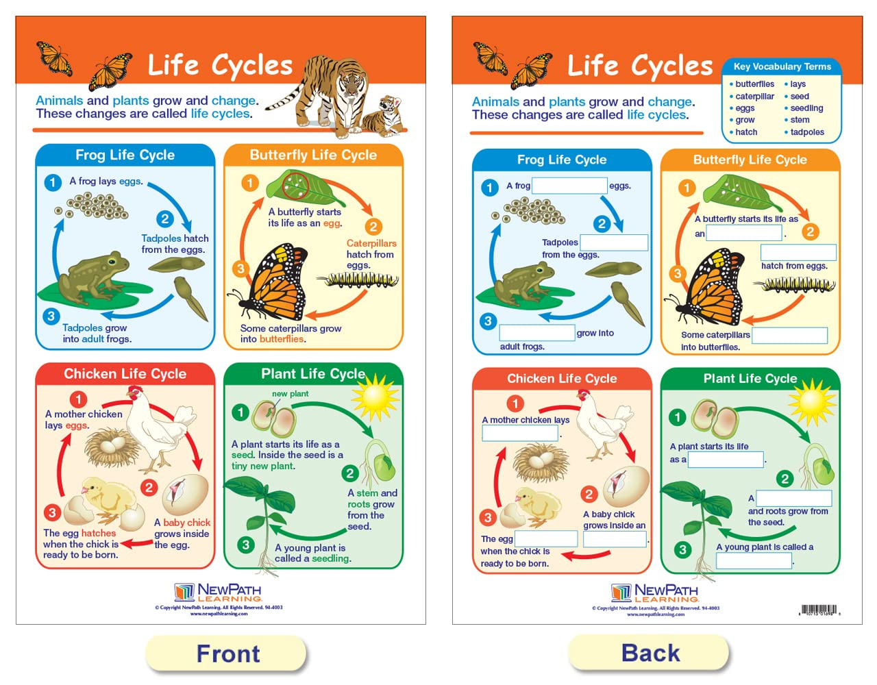 -94-1501 All about Animals Bulletin Board Chart Set (Pack of 5)