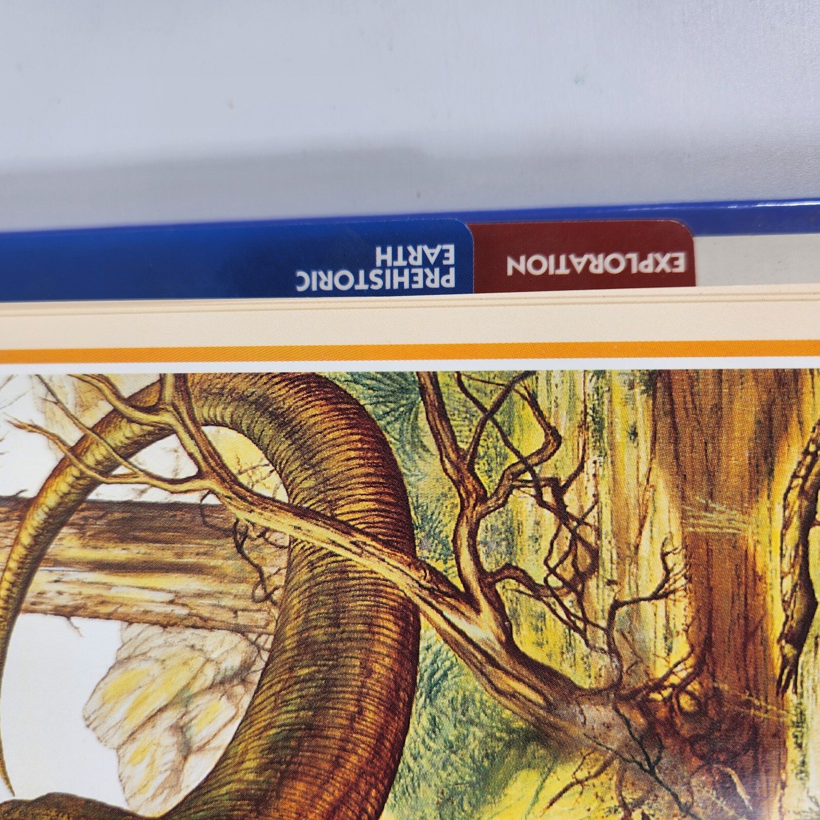 Newfield Publications DINOSAUR CARDS SET with 3 Ring Folder/Binder