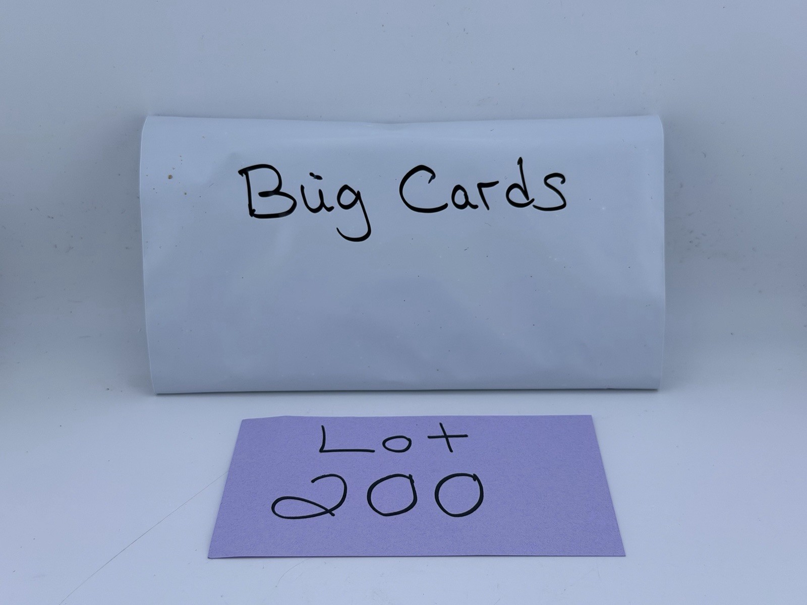Insect Animal Learning Cards Lot Bug Identification Educational 47 Flash Cards