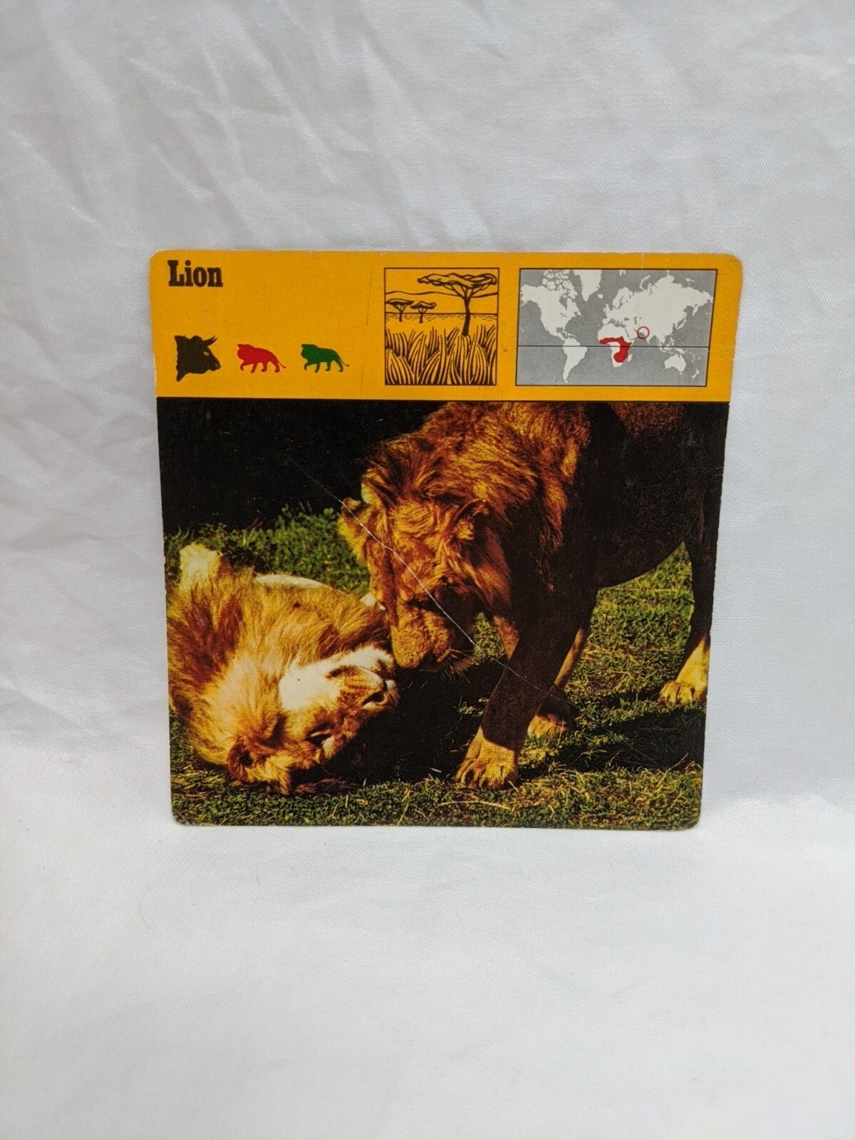 Lot Of (21) 1975 Rencontre Mammals III Education Cards