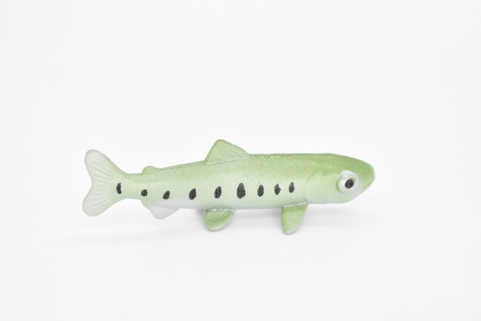 Salmon, Life Cycle, Educational, Plastic, Model, Figure, Fish, Figurine, 5 Piece